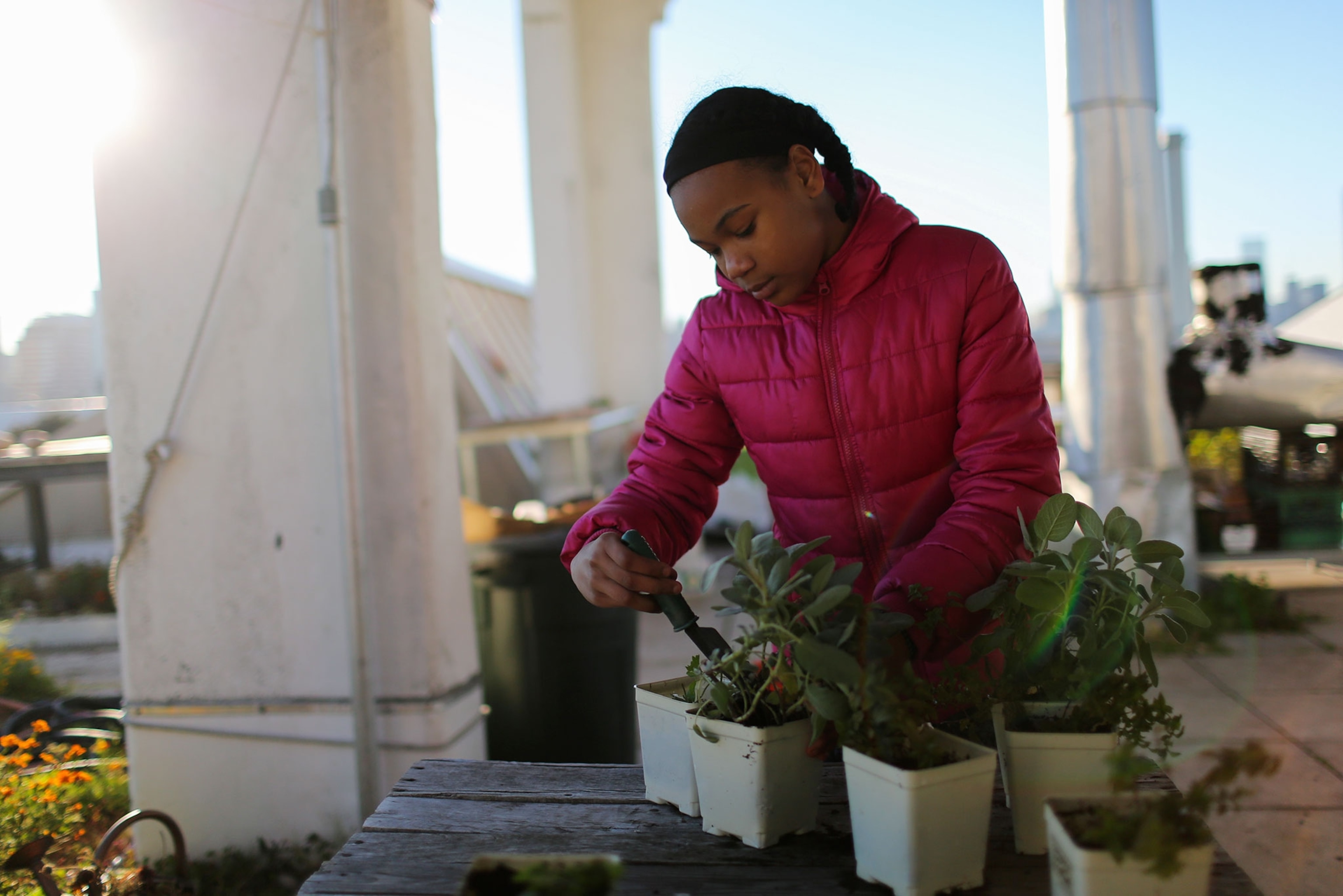 student repots herbs