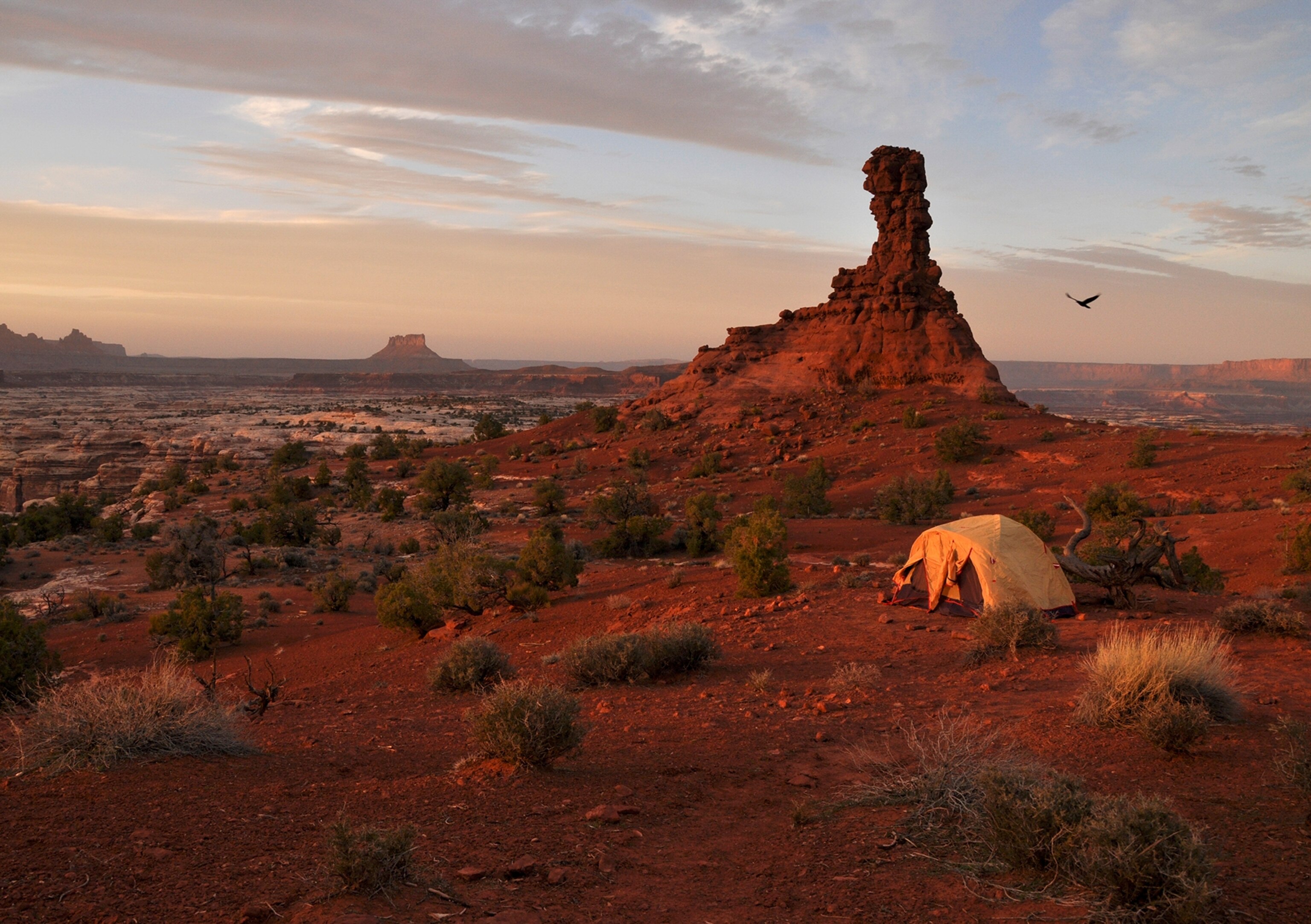 tent at sunset in the Maze district, Canyonlands National Park, Utah