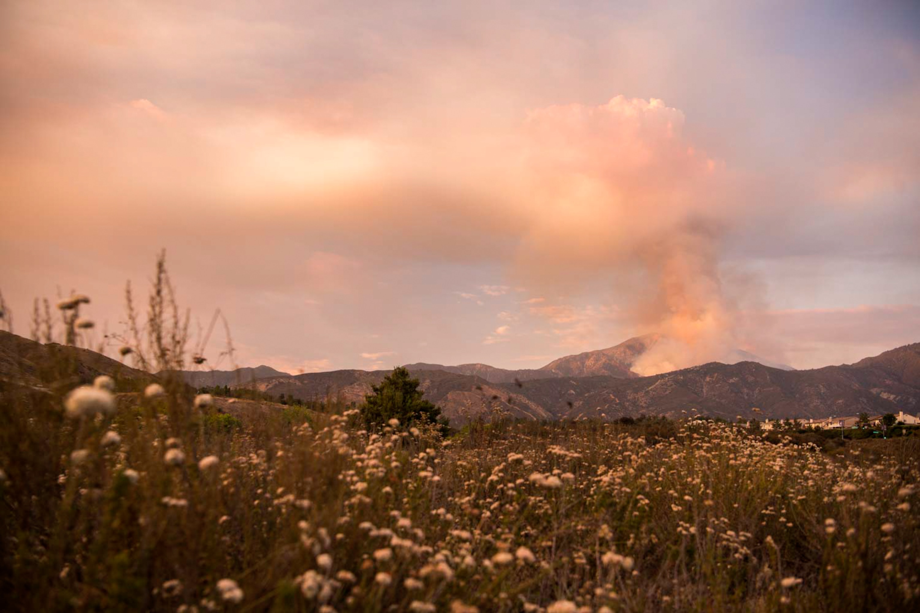 California wildfires
