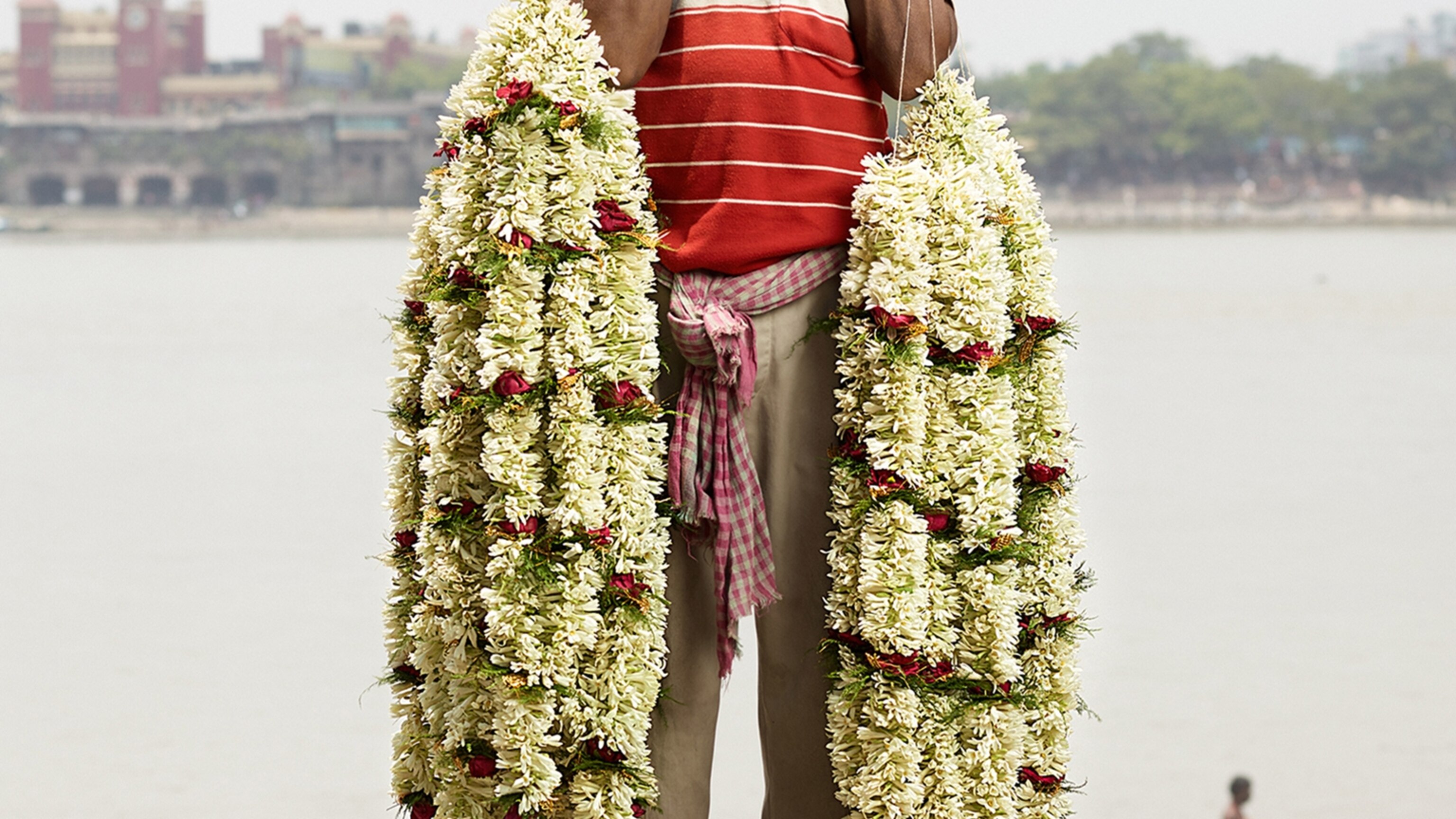 Vivek Flowers Eldorado 43 - htm8oif