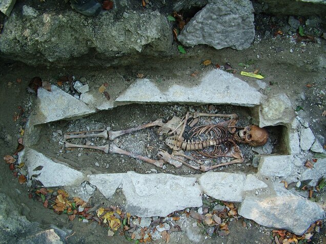 single-viking-skeleton.jpg?w=636&h=477
