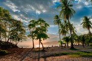 How Citizen Science Projects Are Saving Costa Rican Rainforests How Citizen Science Projects Are Saving Costa Rican Rainforests