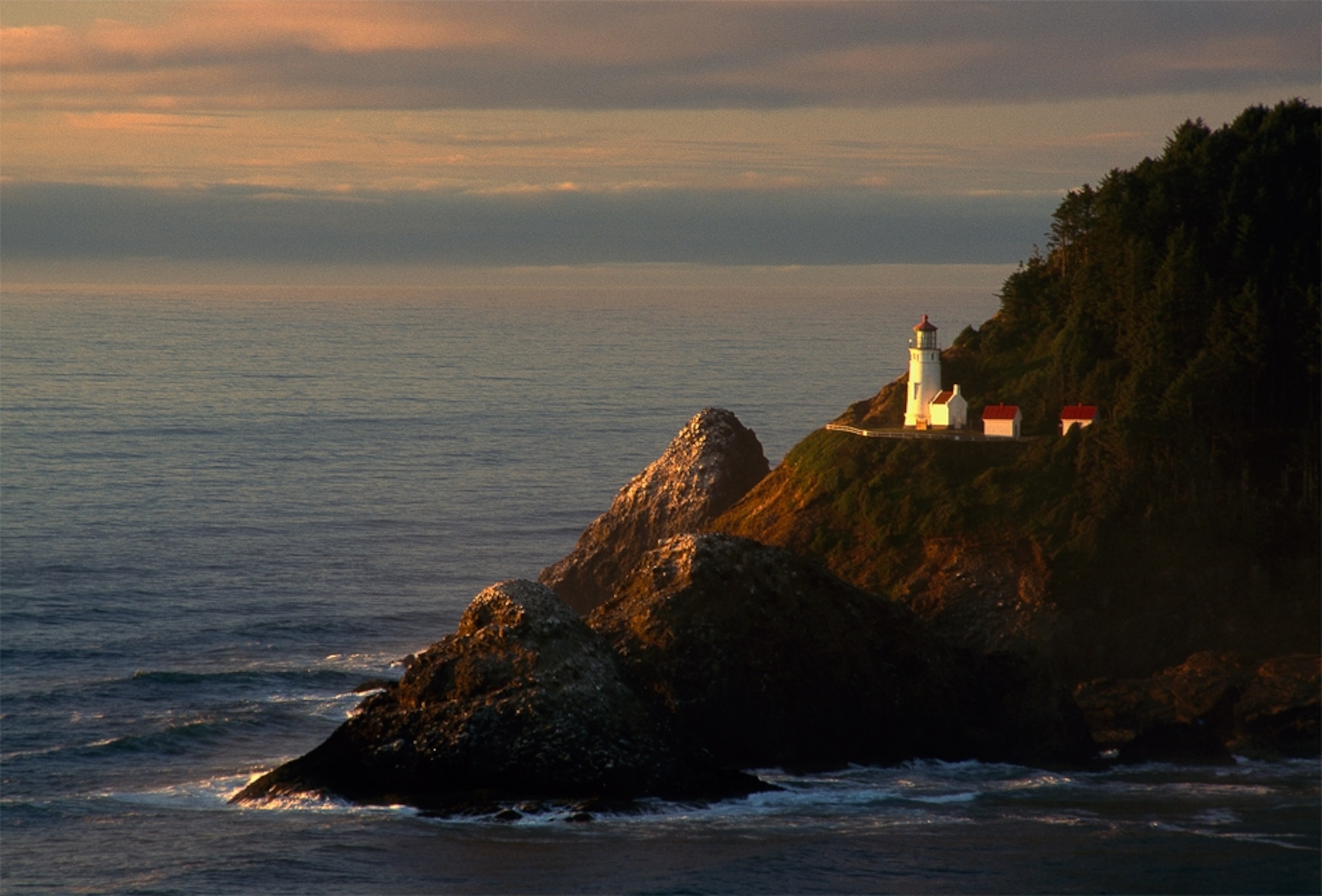 Tsunami gallery picture: Oregon coast