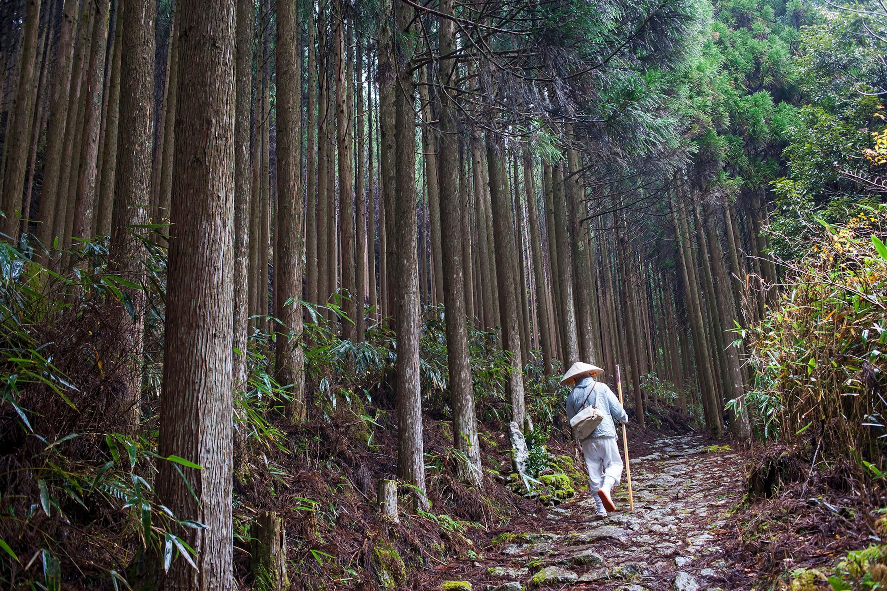 a pilgrim on Kumano Kodo, Japan