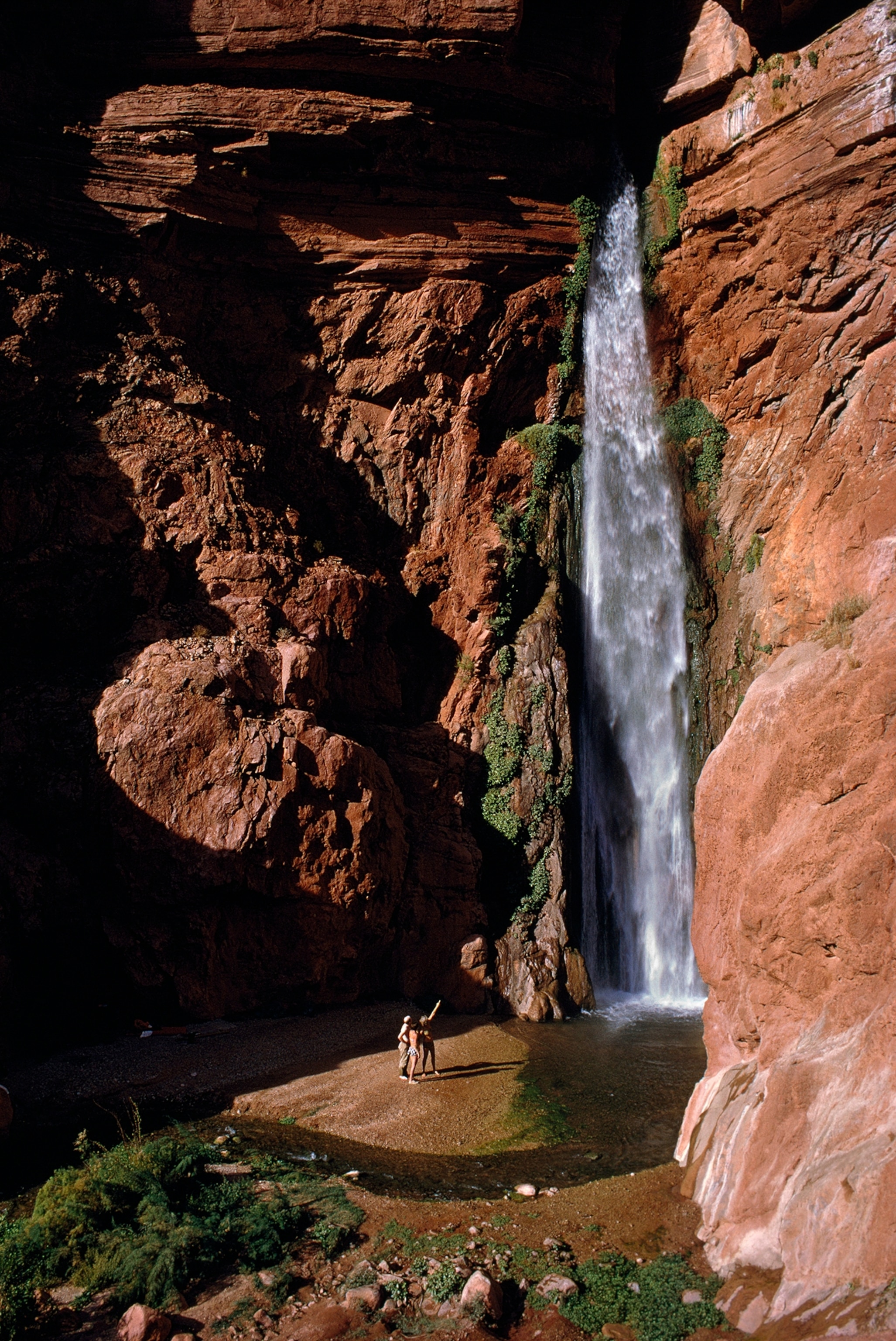 A hanging garden blooms in spray from Deer Creek Falls.