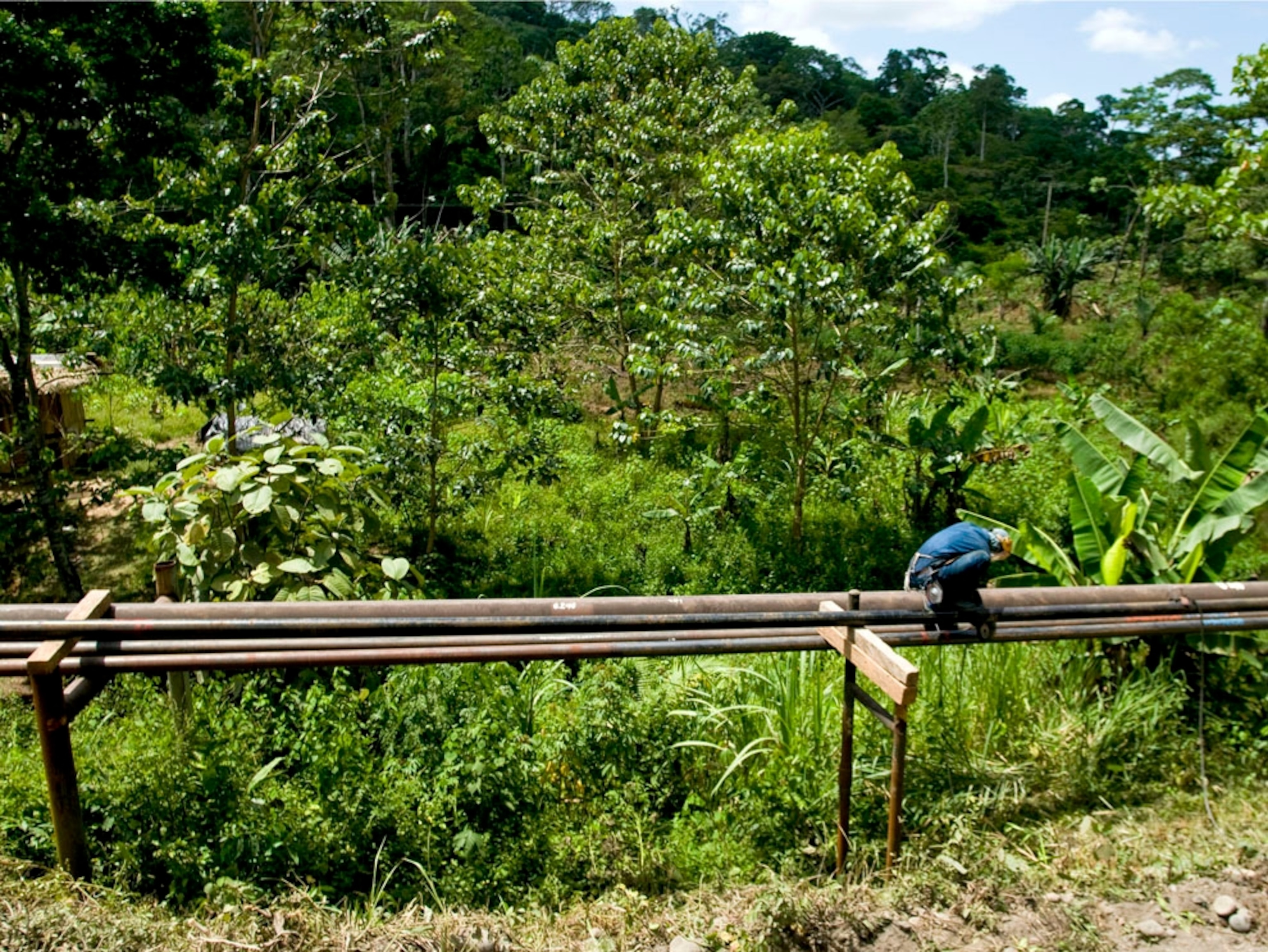 An oil worker repairs an oil pipeline near Yasuni National Park in Orellana Province, Ecuador, on Tuesday, Oct. 13, 2009. Ecuador is seeking about $3 billion in revenue, almost half earlier government estimates, in a bid to keep oil inside Yasuni National Park rather than extract it. The Ishpingo-Tambacocha-Tiputini field contains an estimated 950 million barrels of oil. Photographer: Alejandra Parra/Bloomberg via Getty Images
