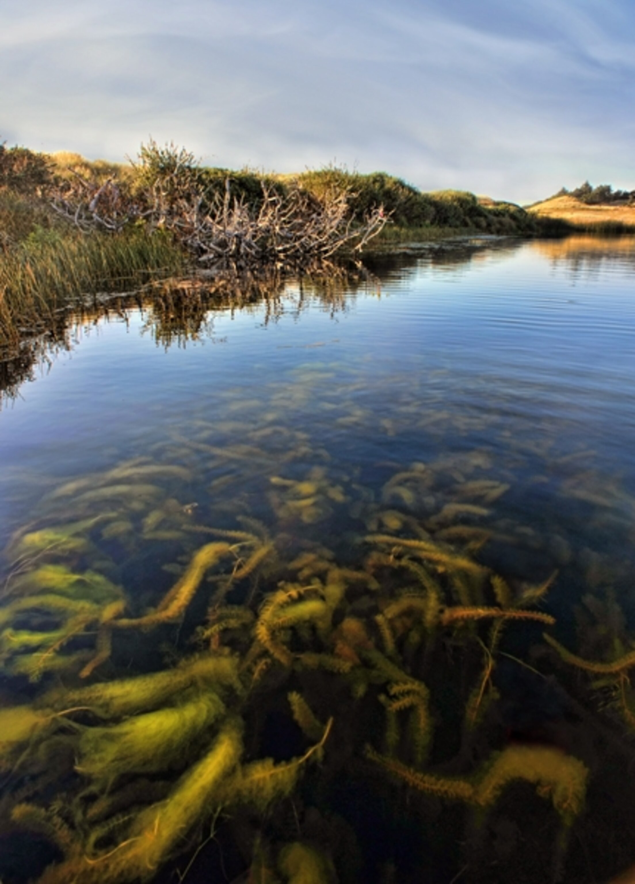 Garrison Lake, Oregon
