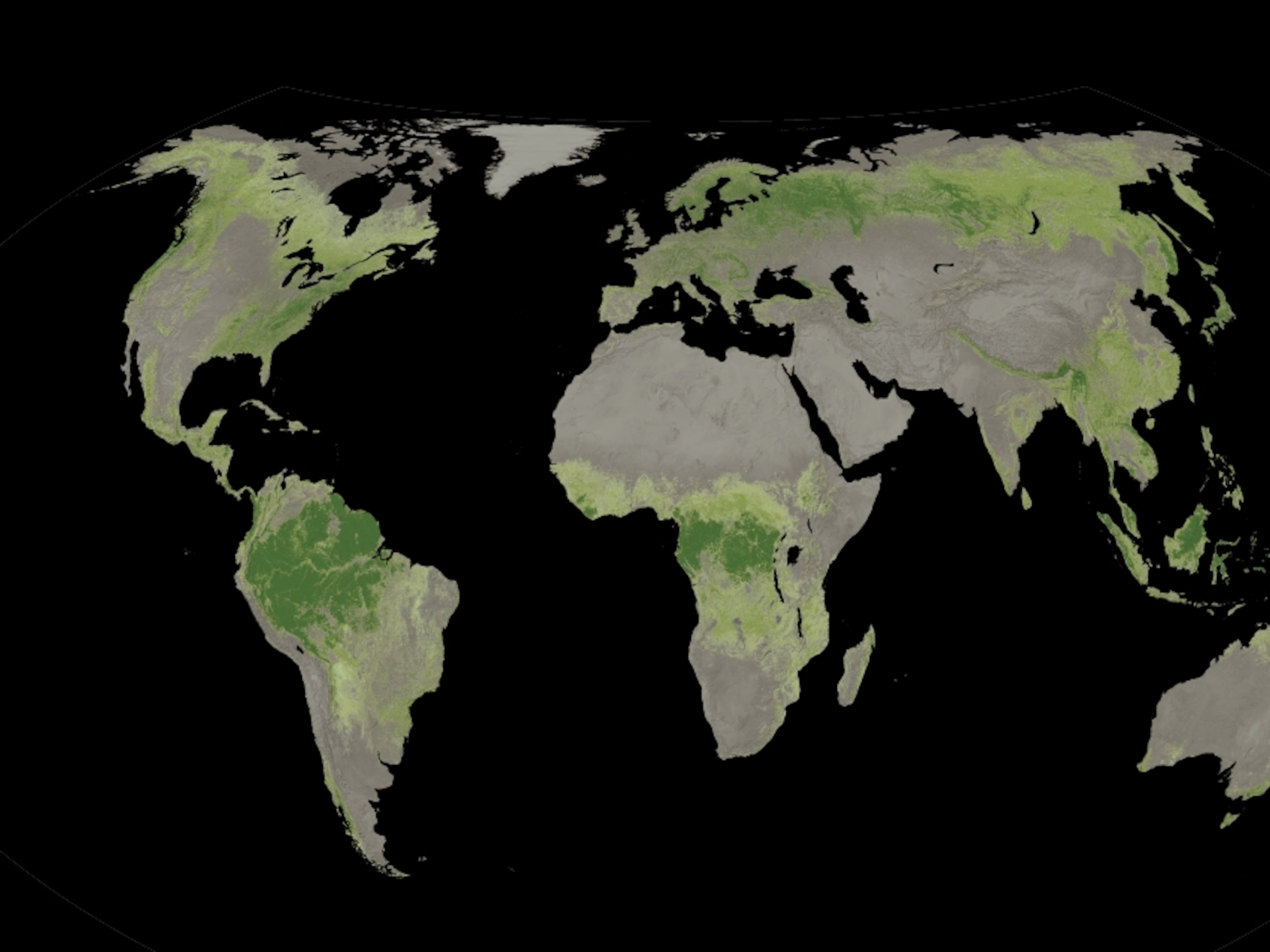 why should we stop deforestation essay