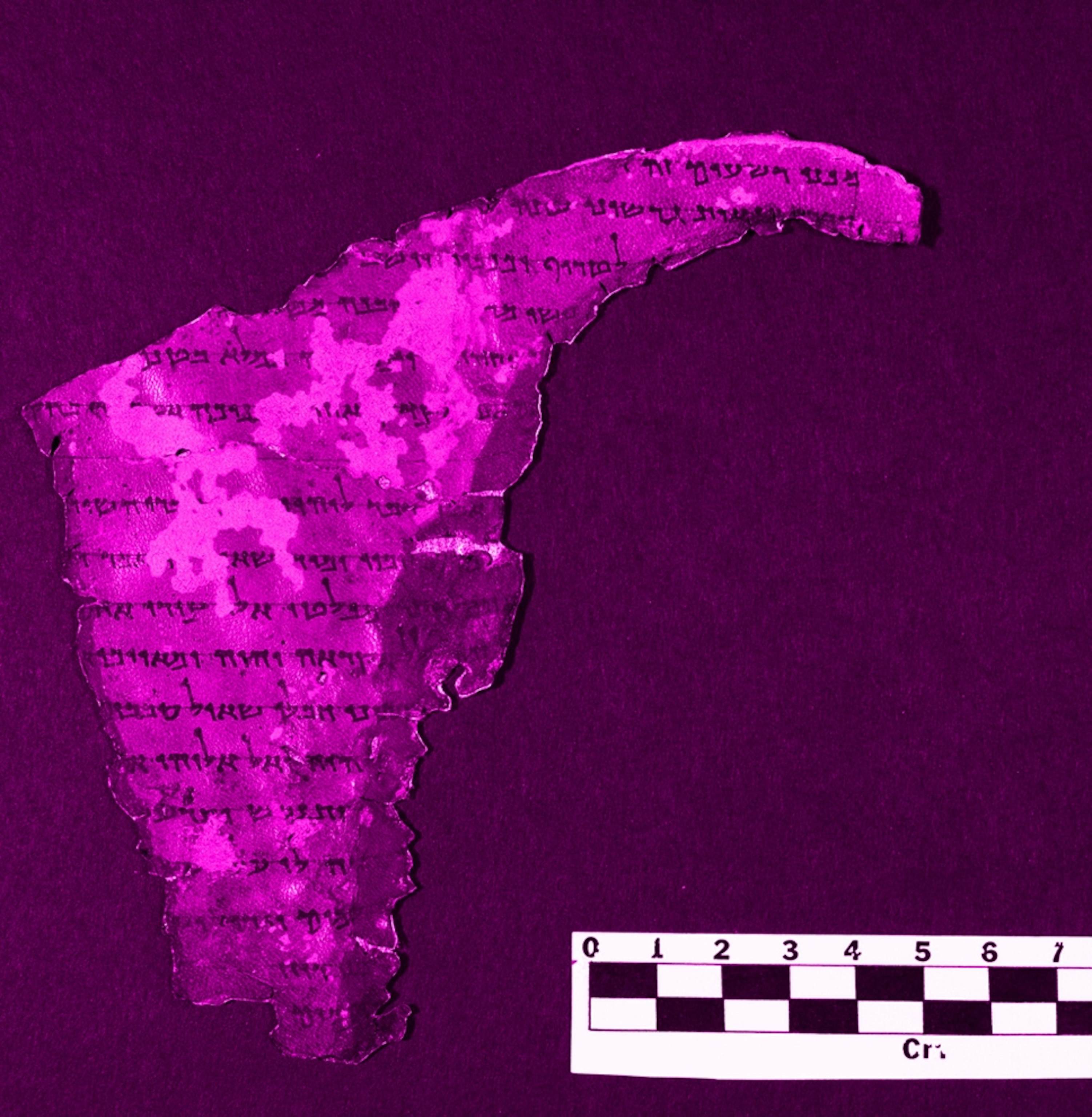 Picture of fragments of the Dead Sea Scrolls, to be digitized and posted online by the Israel Antiquities Authority and Google