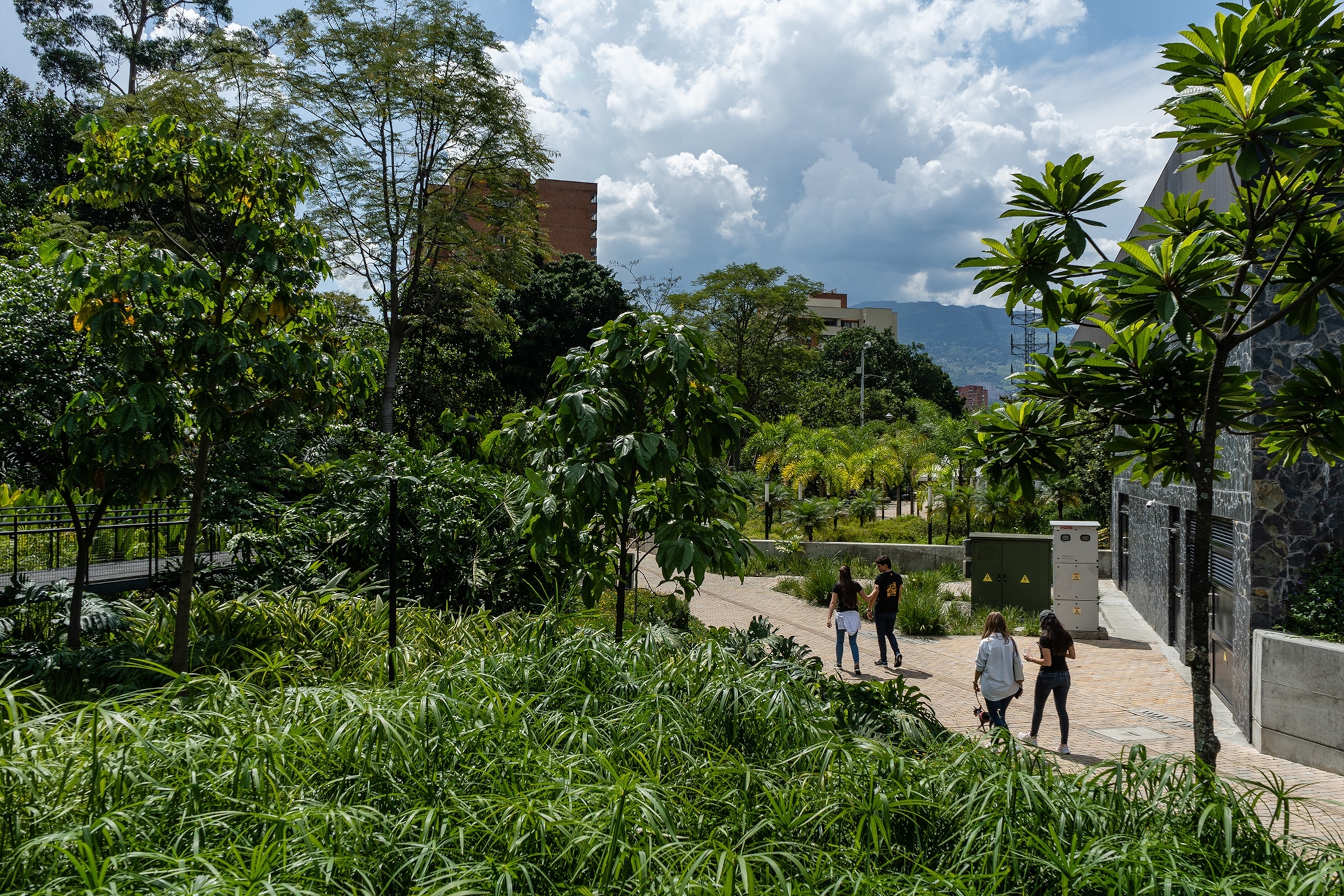 A group of people walk on a paved path through a lush, green park on a sunny day.
