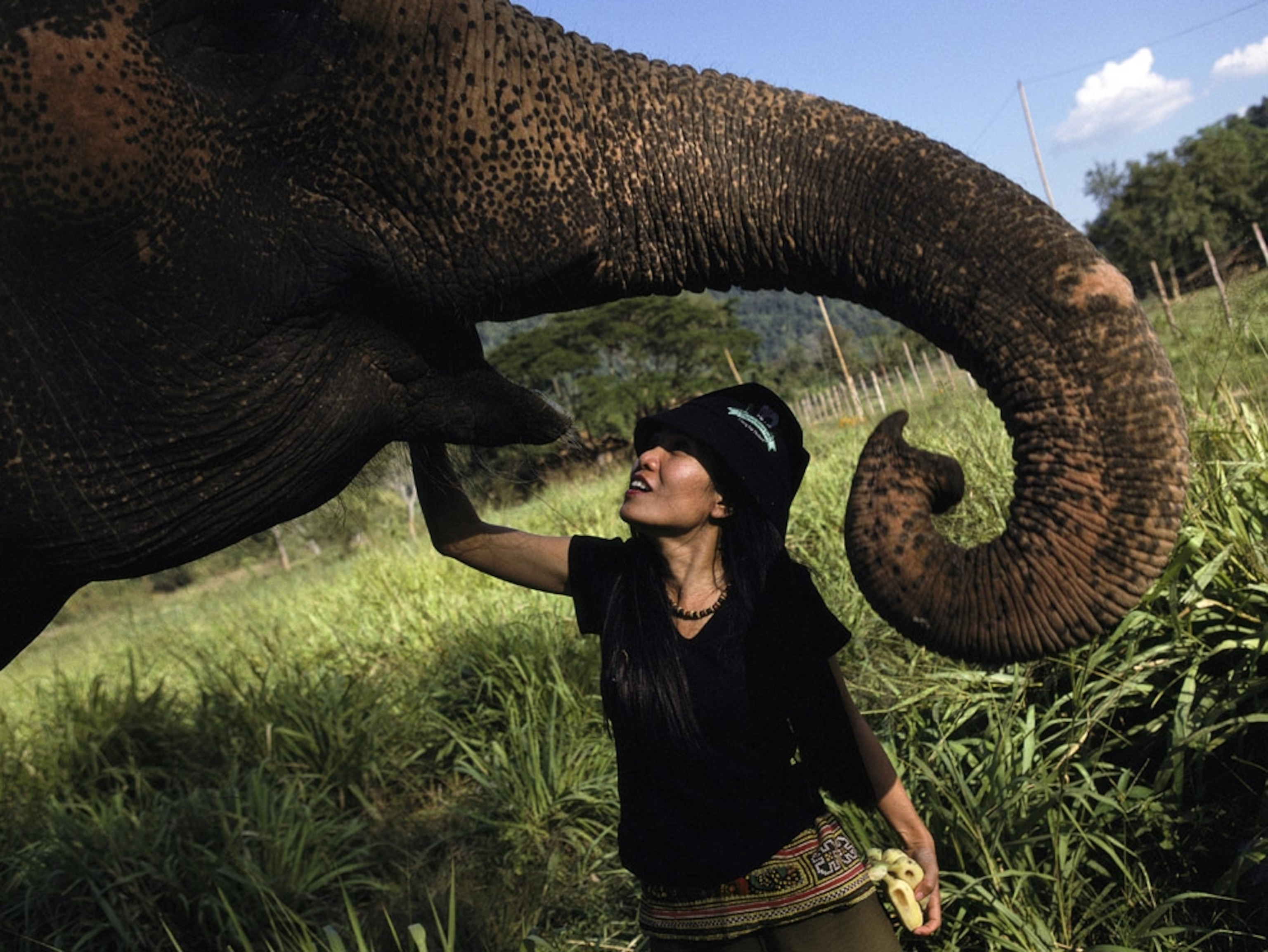 Woman petting elephant