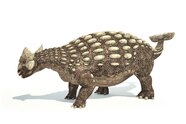 Ankylosaurus Magniventris Facts And Photos Ankylosaurus Magniventris Facts And Photos