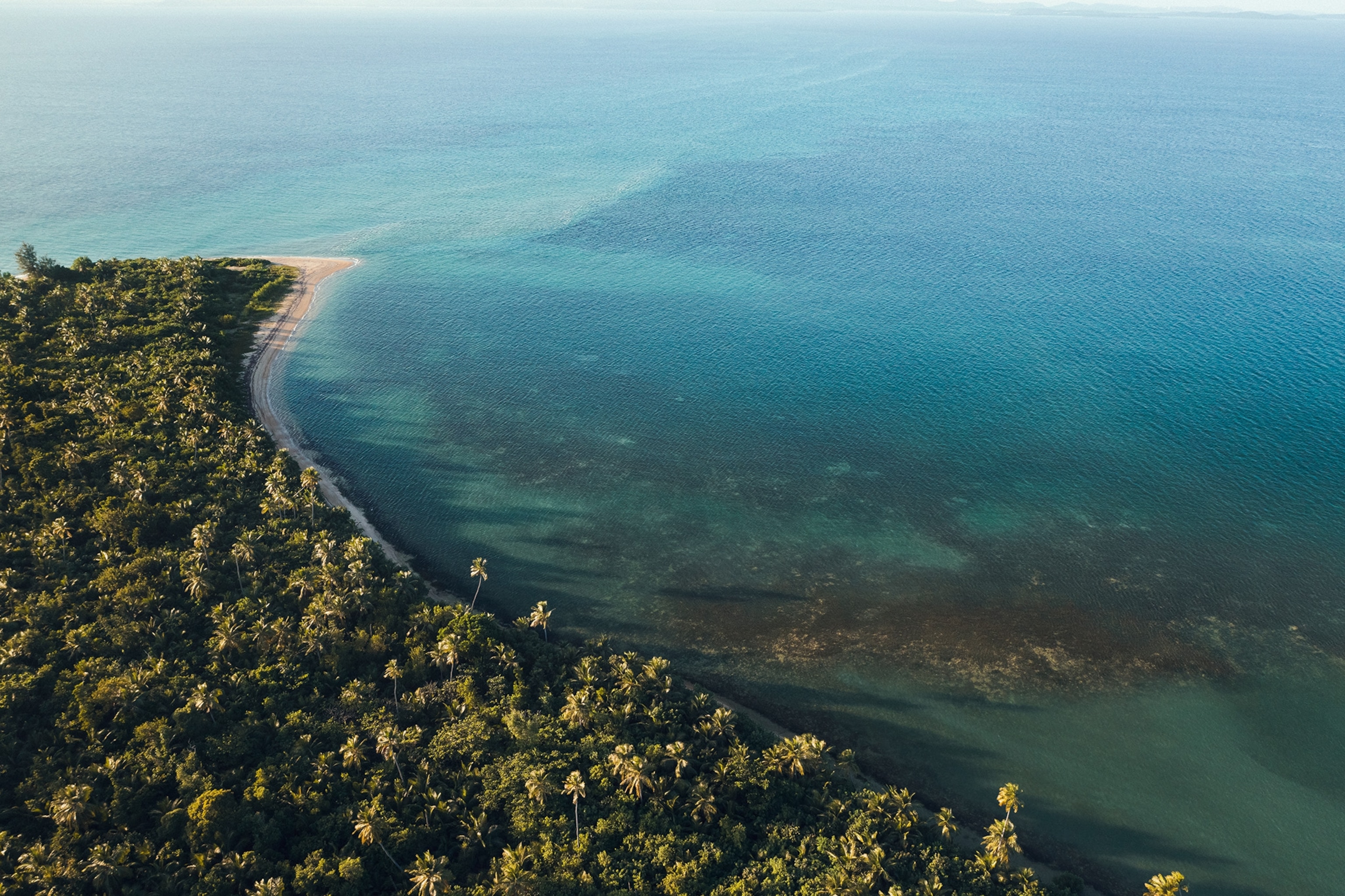 Vieques' coastline