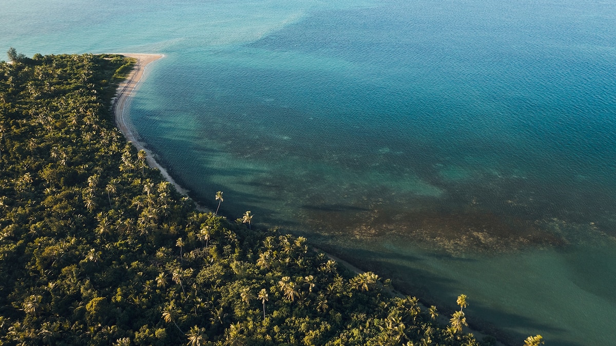 Bomba and bioluminescence—Puerto Rico is full of surprises