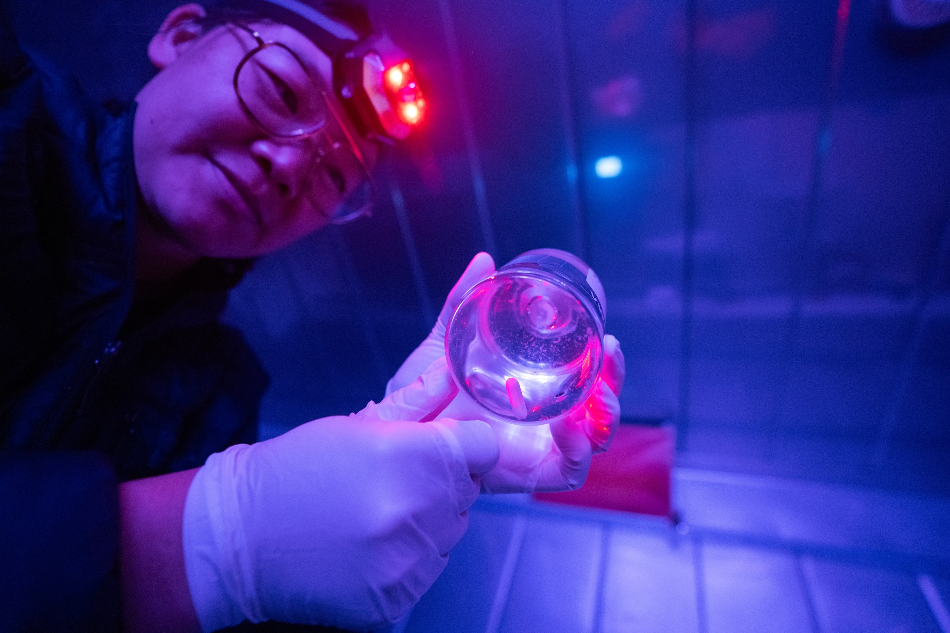 National Geographic Explorer and oceanographer, Allison Fong, in the Cold Lab (a laboratory adapted to low temperatures and low light for specific studies) aboard the R/V Falkor (too) where she works with samples extracted from Antarctic sea ice.