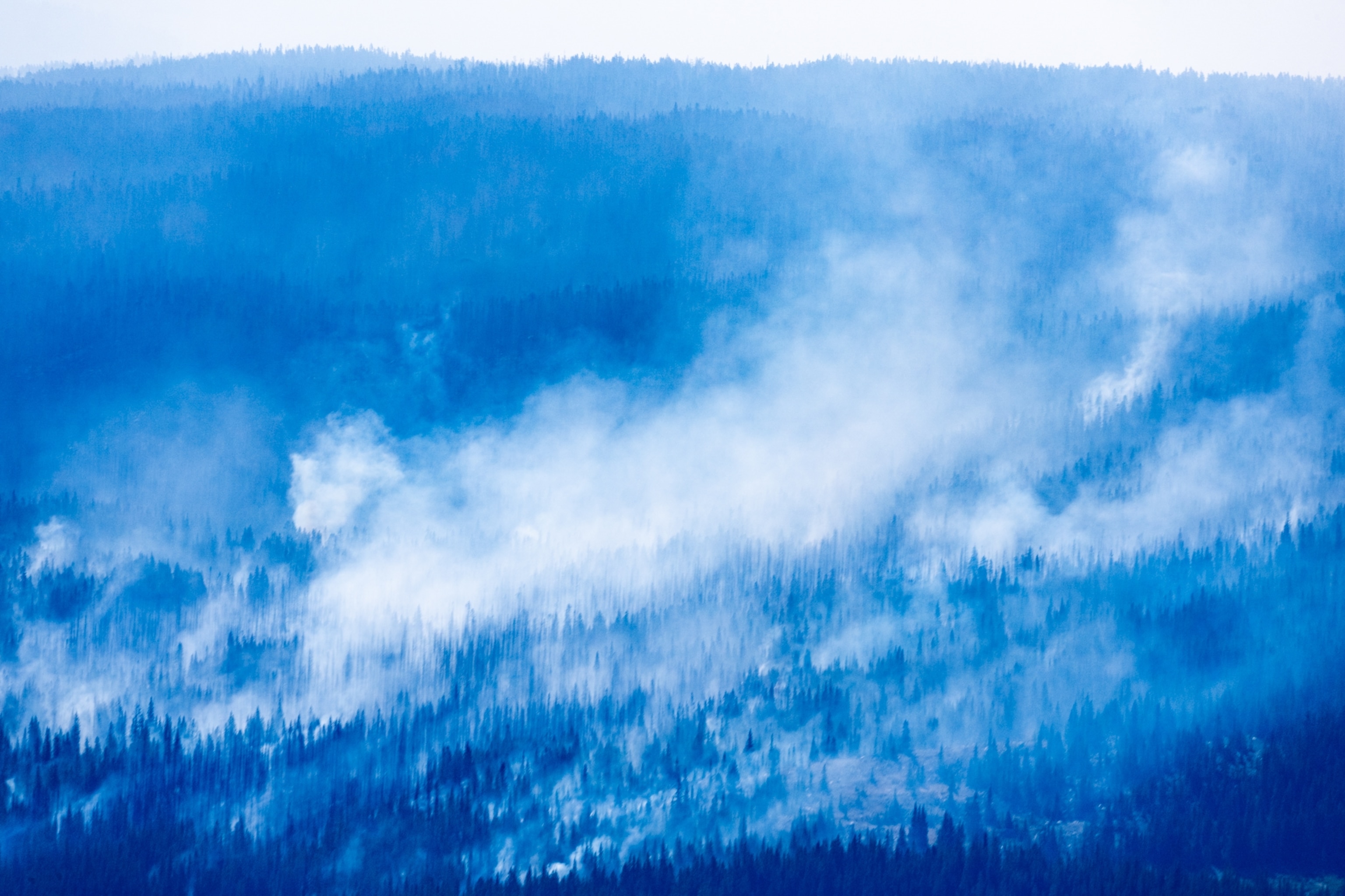 Aerial images of the Willow Fire near Leadville, CO.