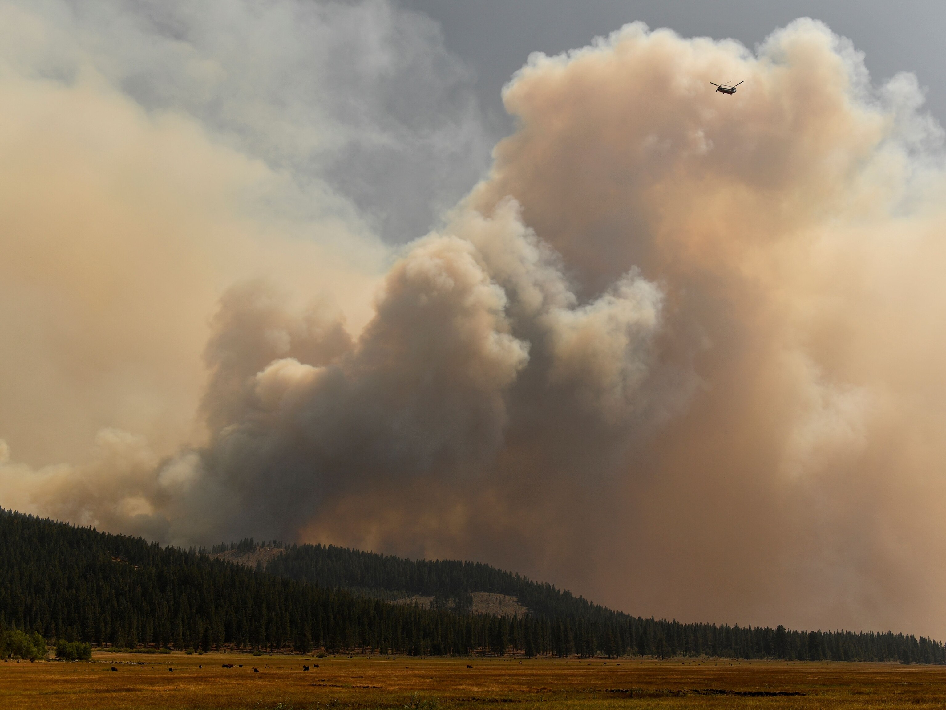 Pyrocumulus cloud: How fires can create their own weather systems - ABC News