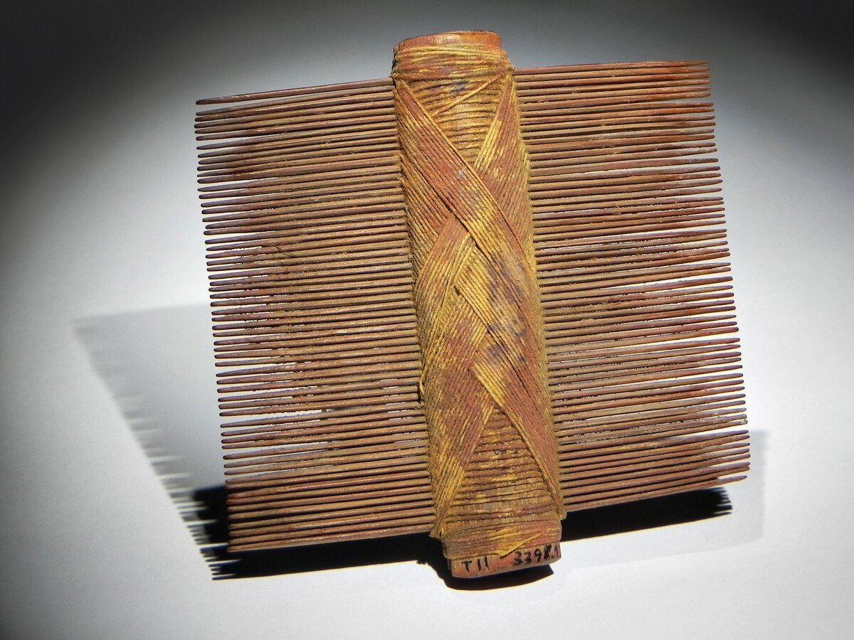 Scientists Discover Ancient DeLicing Combs