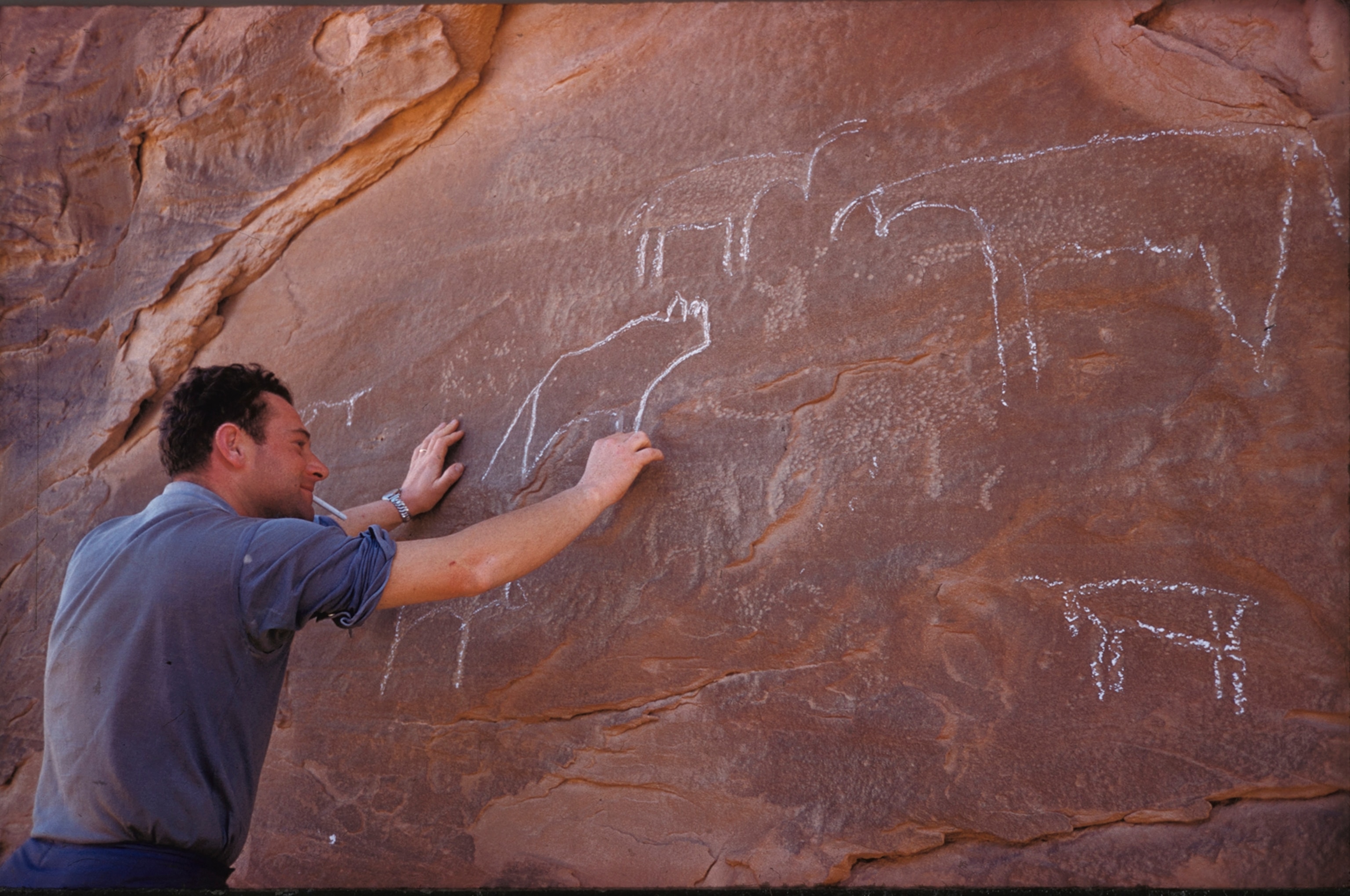 An engineer chalks outlines of prehistoric carvings of hyenas, water buffaloes, and gazelles.