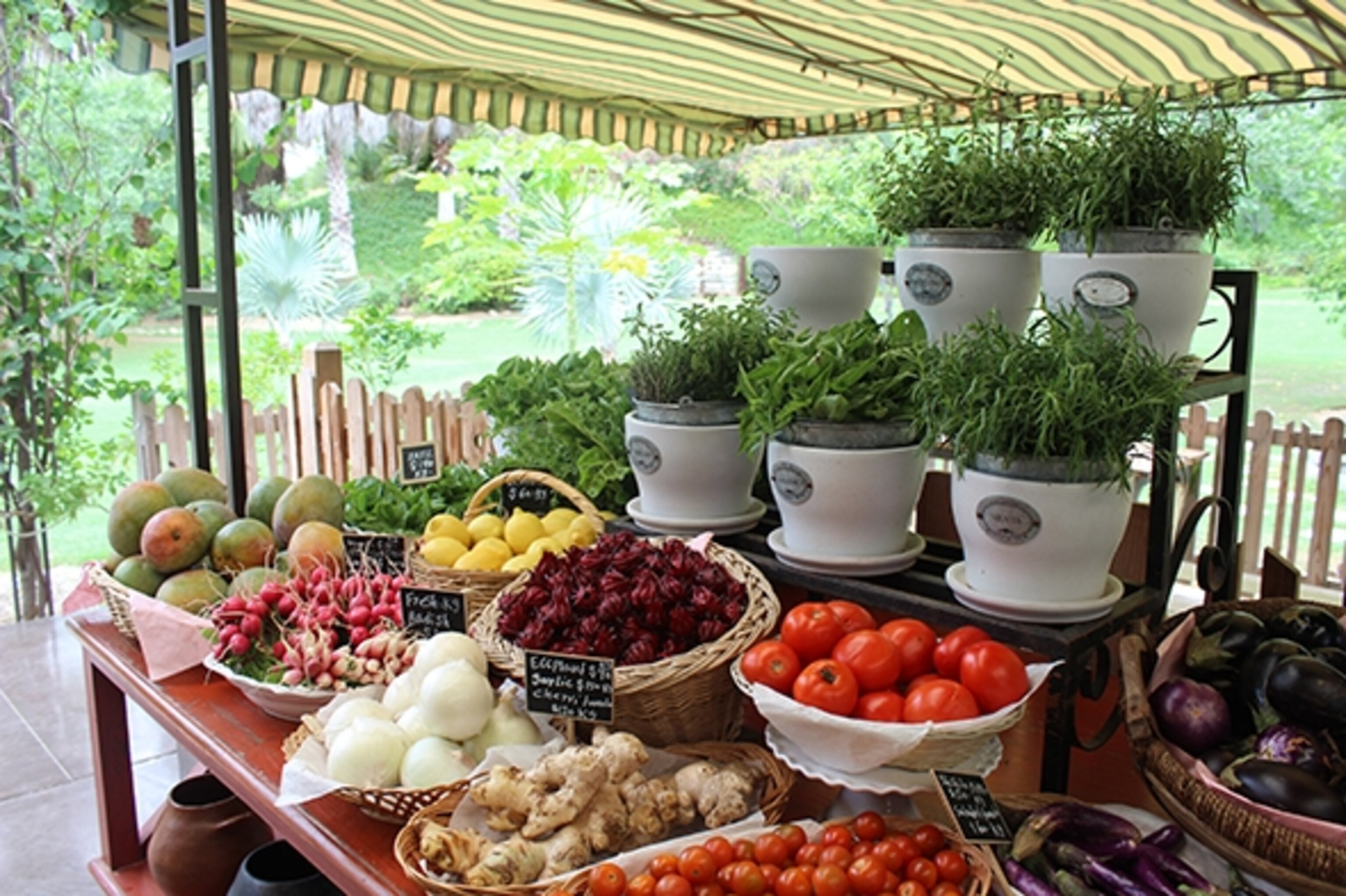 Flora's Farm (Photograph by Annie Fitzsimmons)