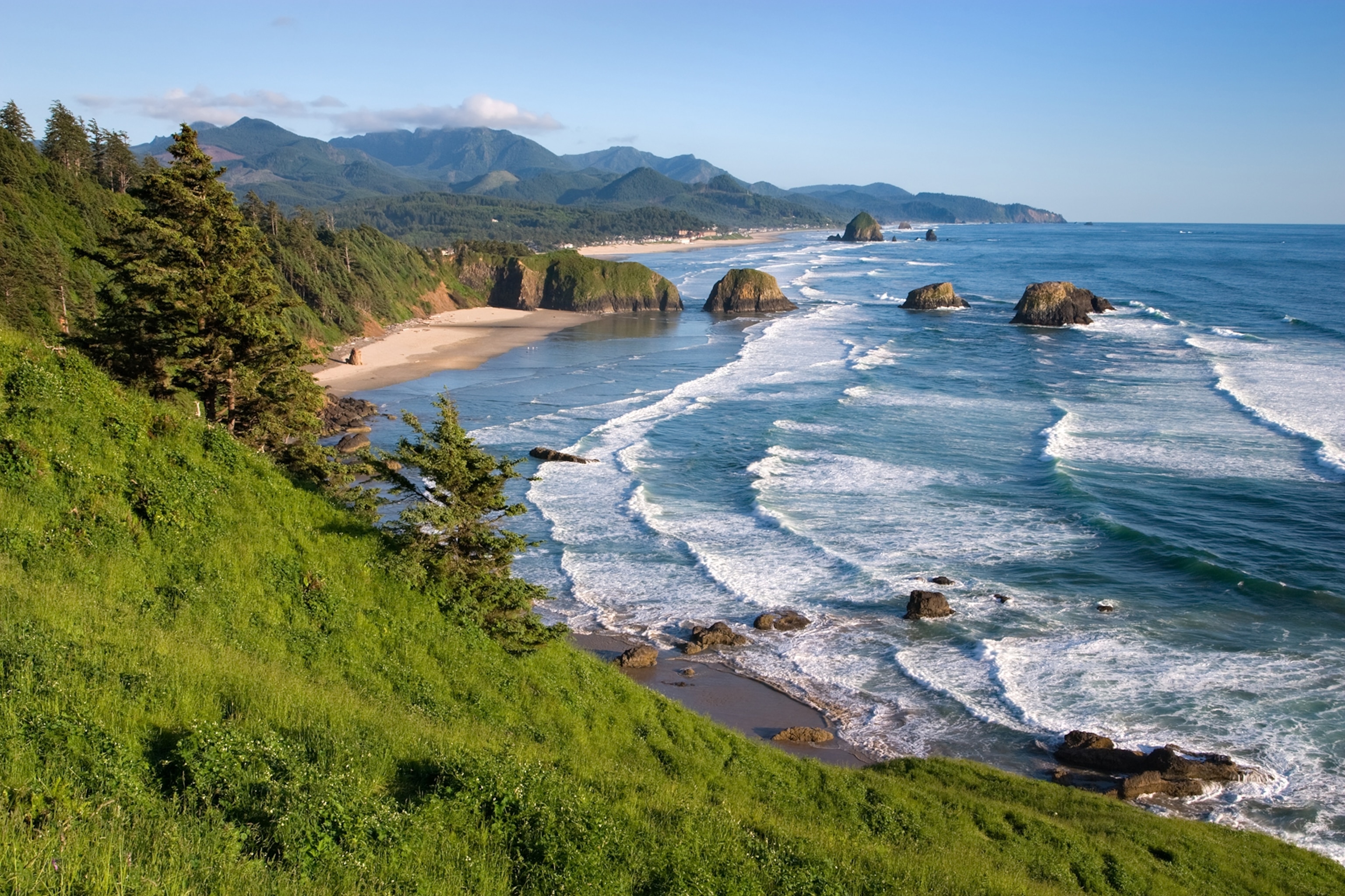Overlooking a bay-shaped beach with lapping blue waves and verdant grass hillsides