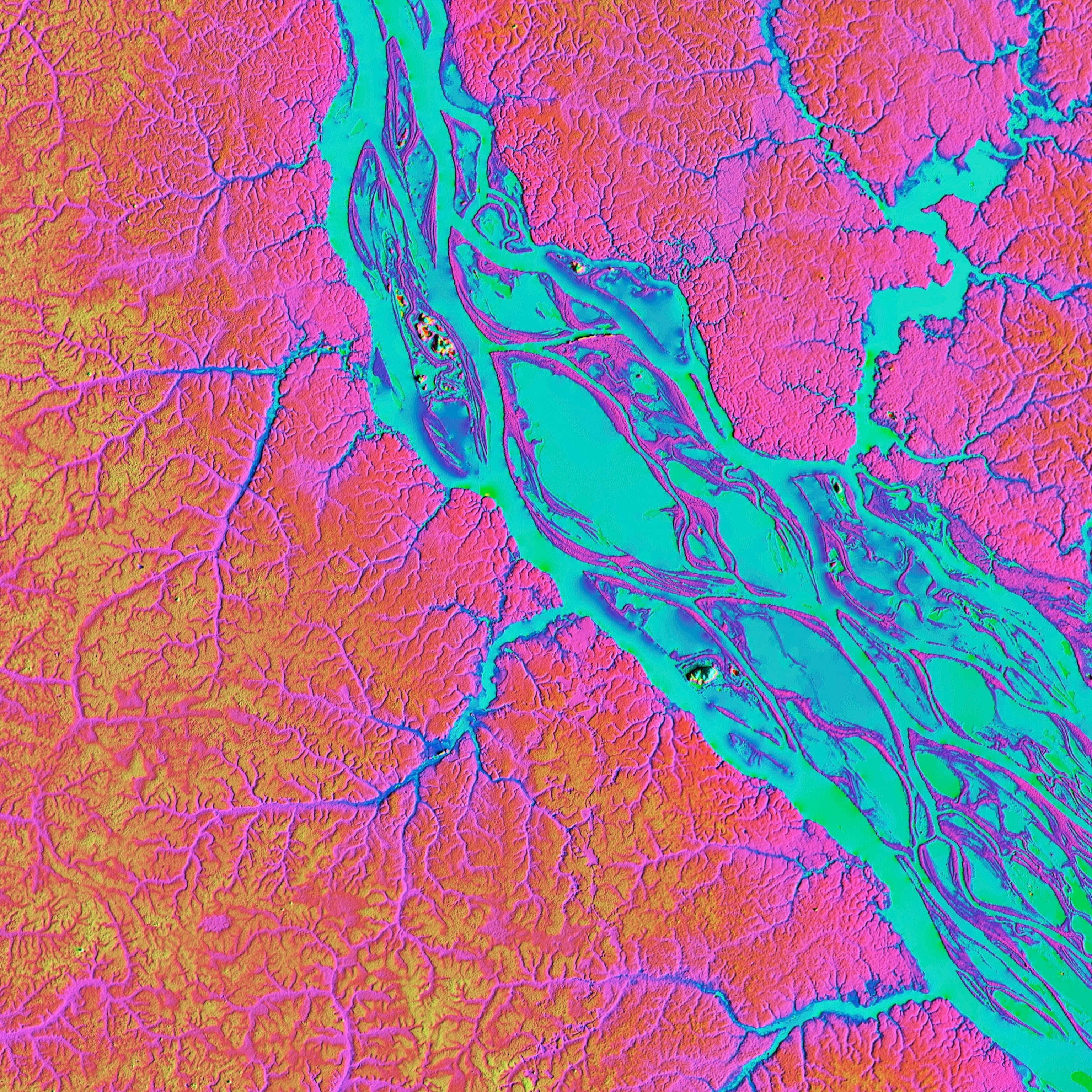 A satellite view showing the Rio Negro river of the Amazon. LiDAR scanning provides elevation data, visualized in color with cooler tones representing low elevation and warm tones higher elevation.