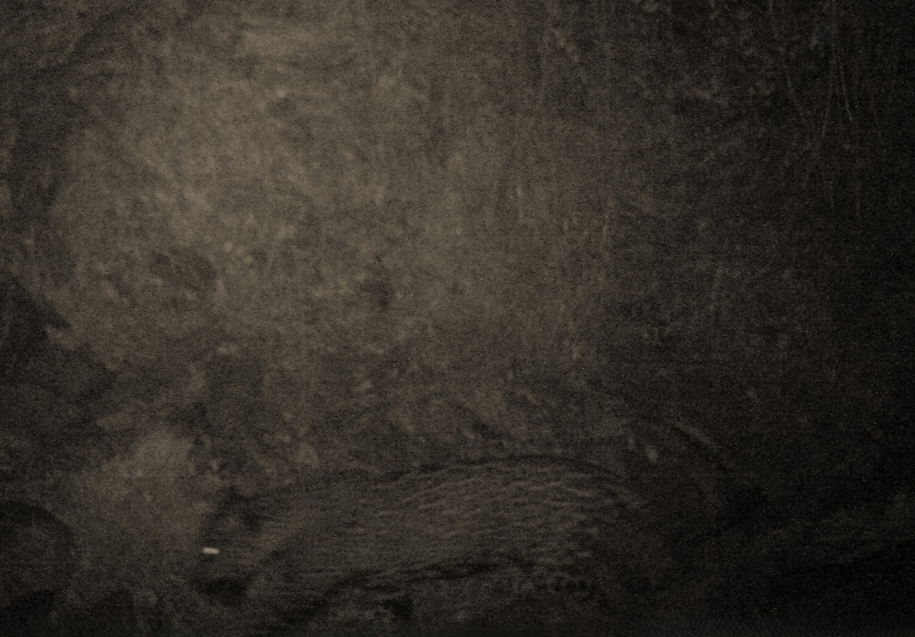 A dimly lit image shows a large, shadowy jaguar moving across a murky background