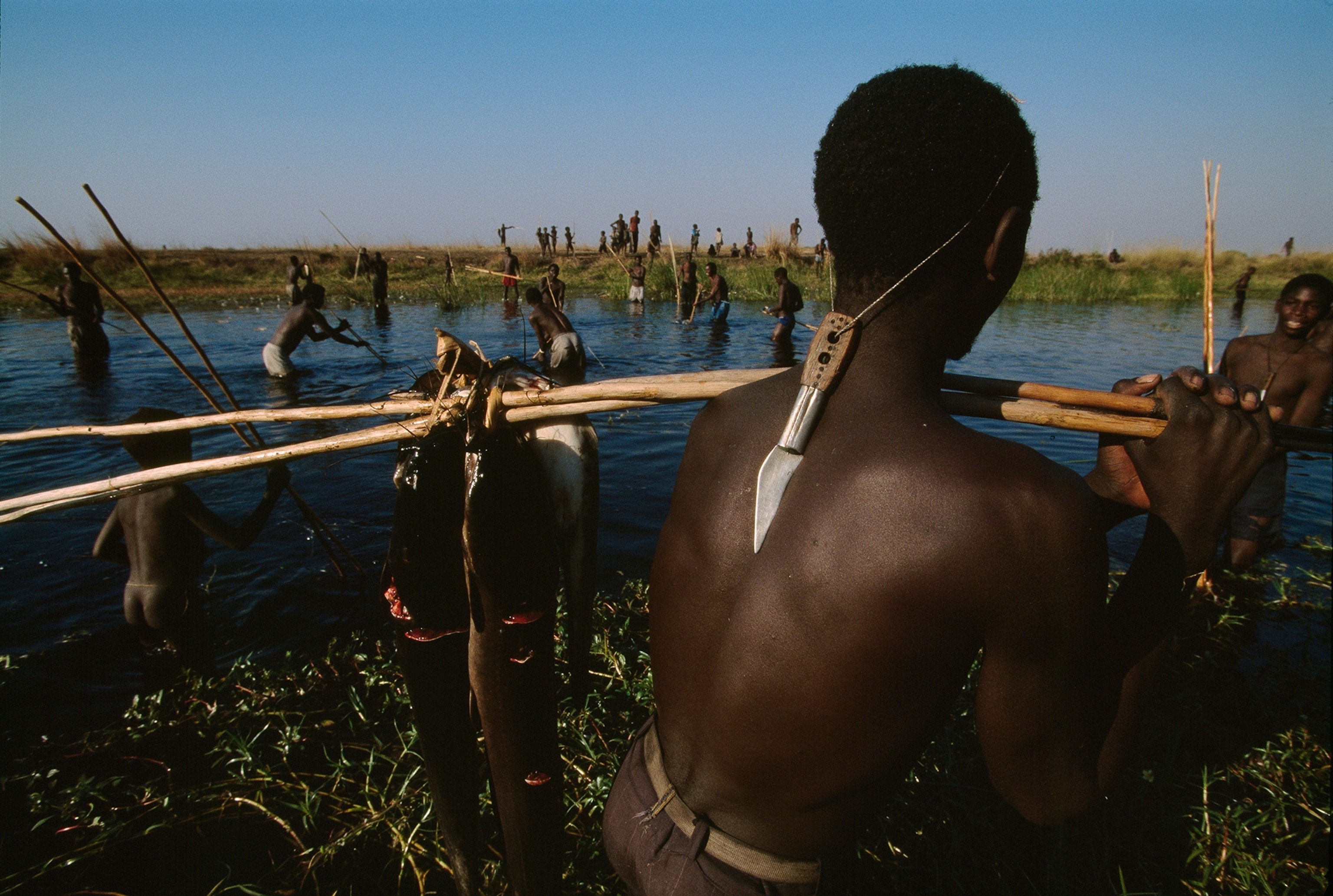 Lozi tribespeople fish for catfish in the vast upper floodplain of the Zambezi River.