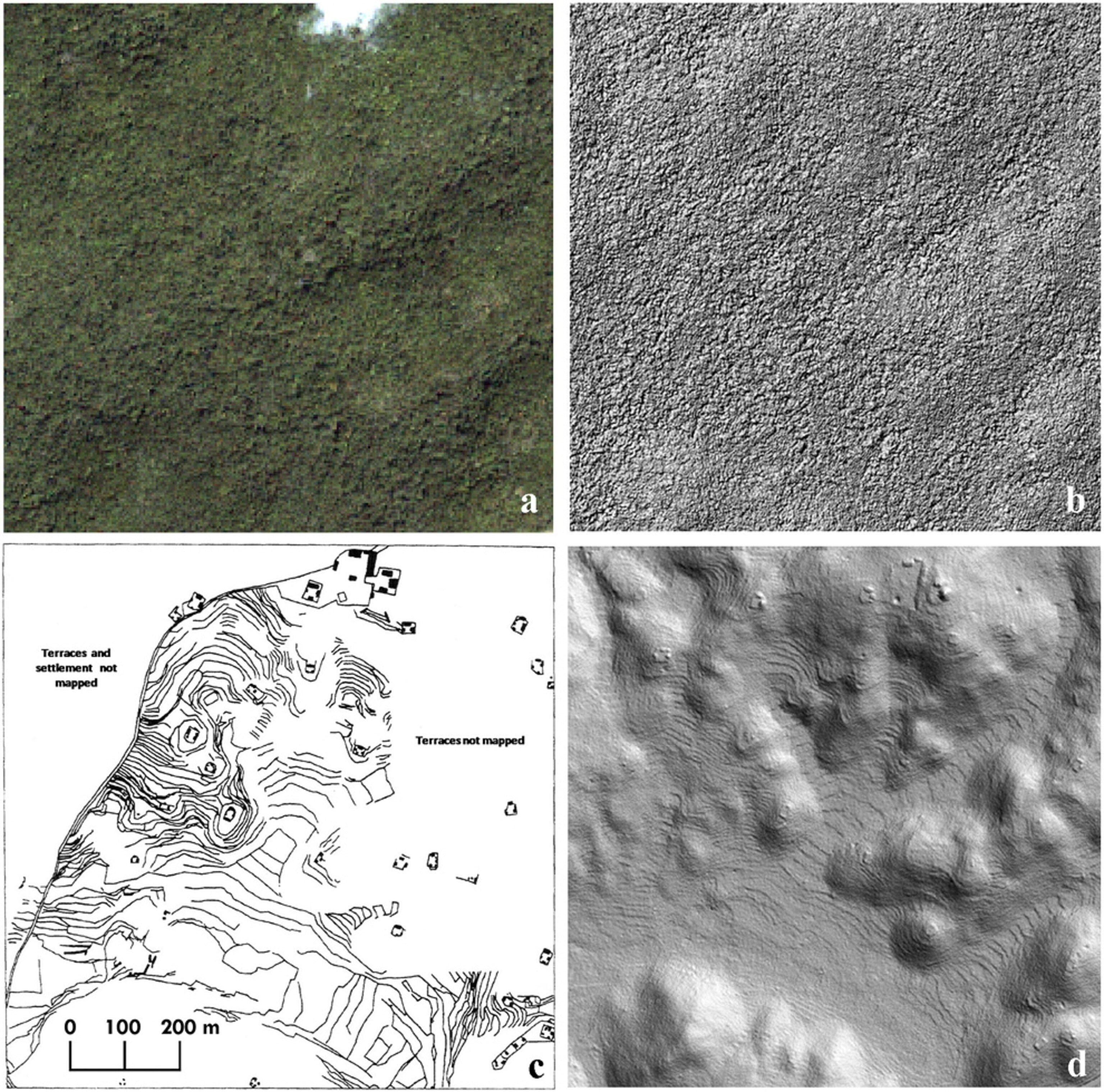 Four views of the ancient Maya city of Caracol.