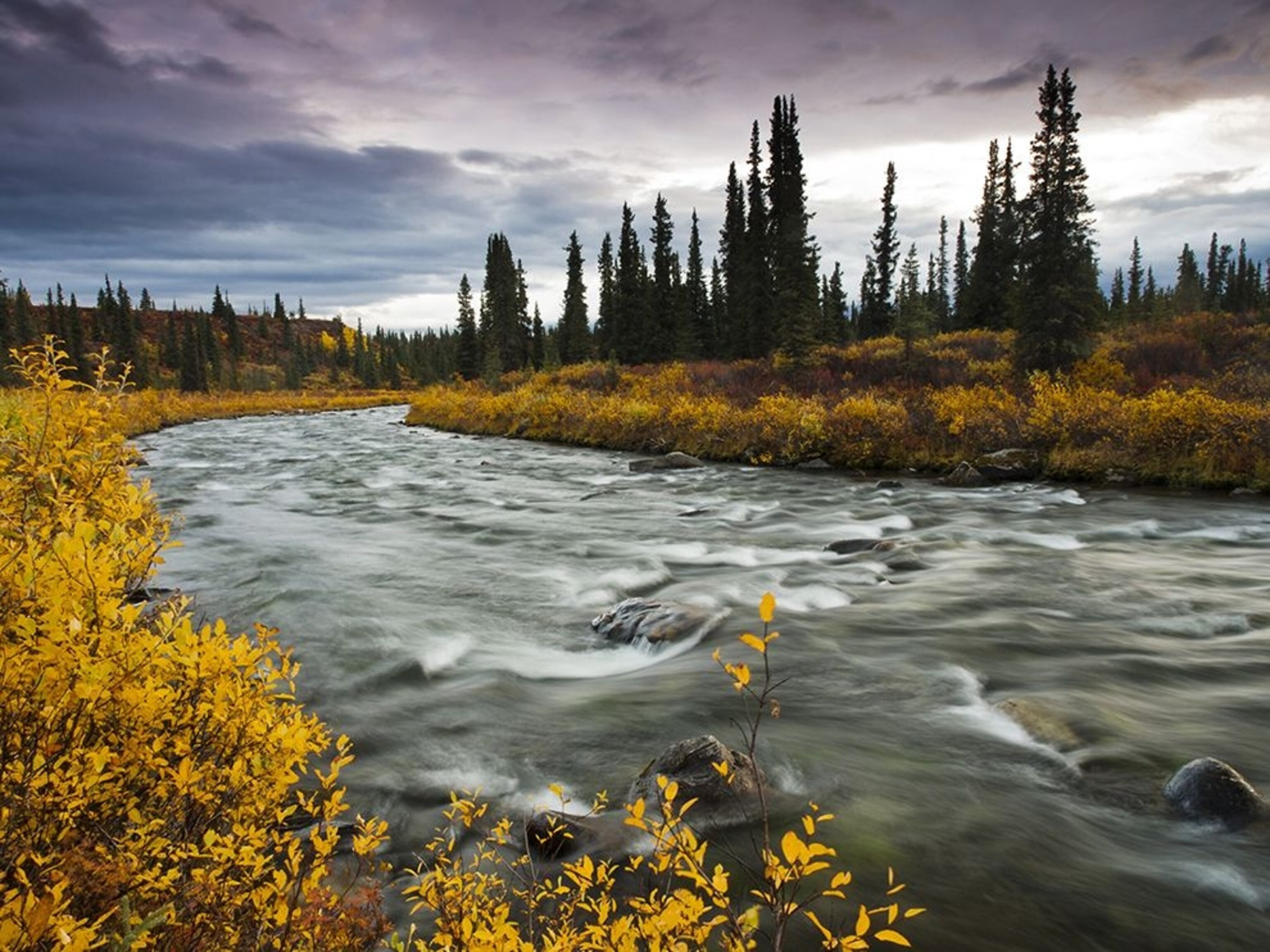 Wonder Lake, Denali National Park, Alaska