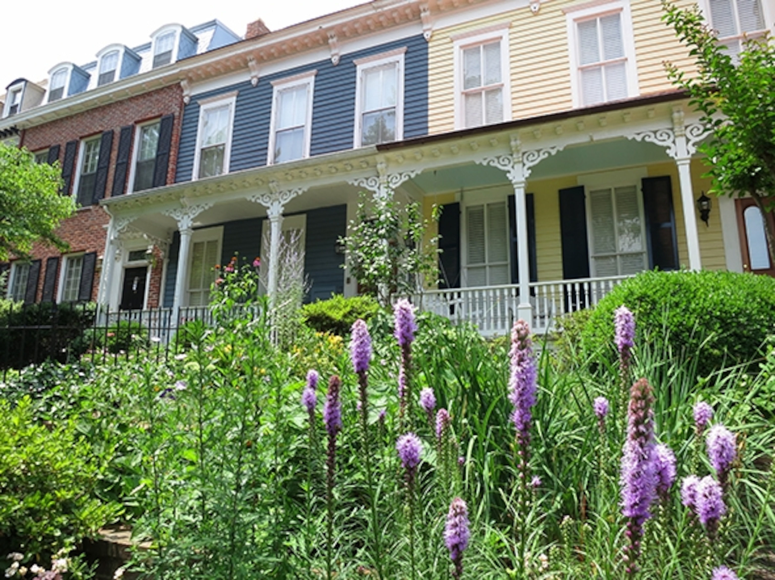 Colorful row houses near Eastern Market (Photograph by Robert Reid)