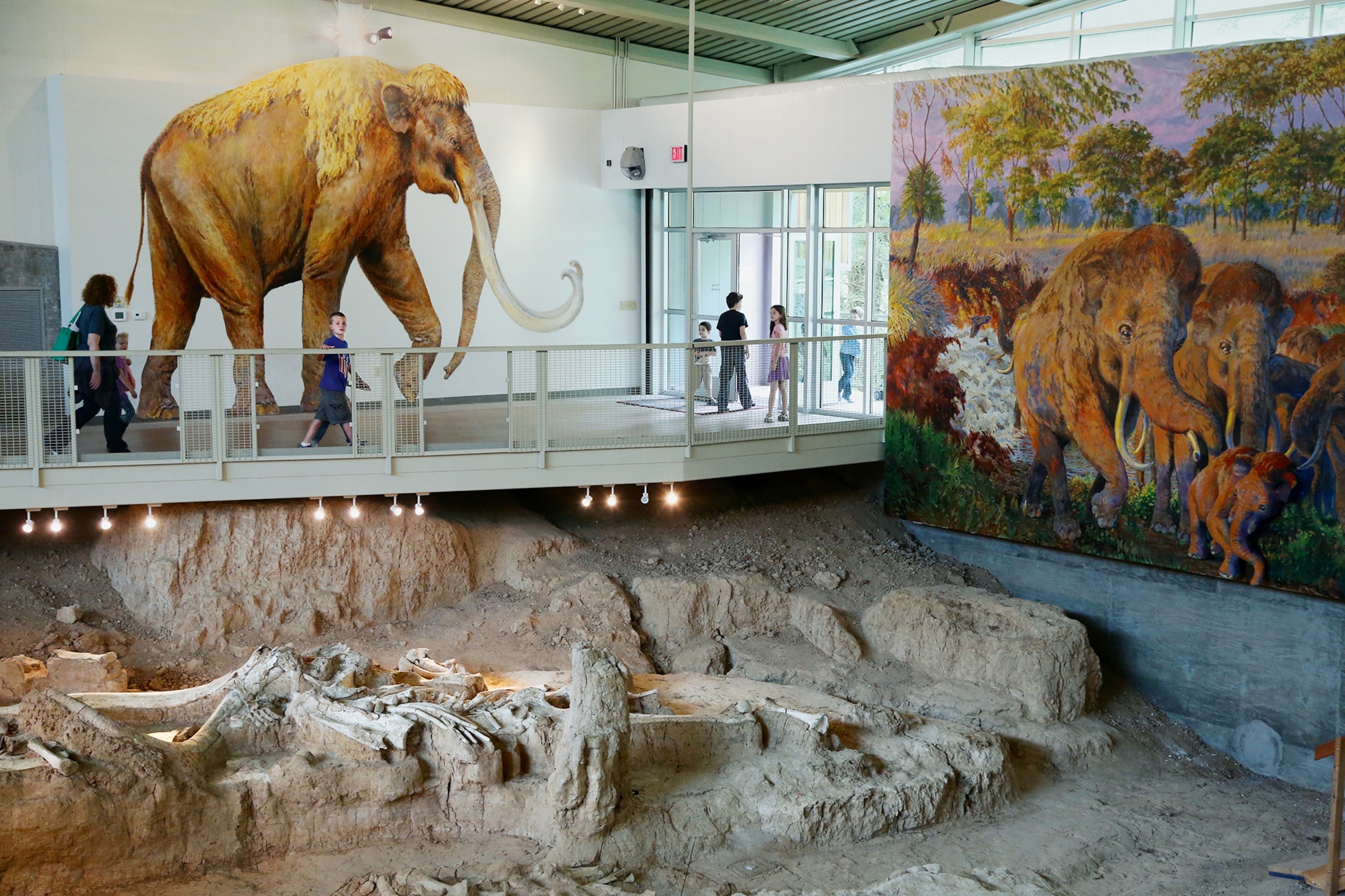 Waco Mammoth National Monument