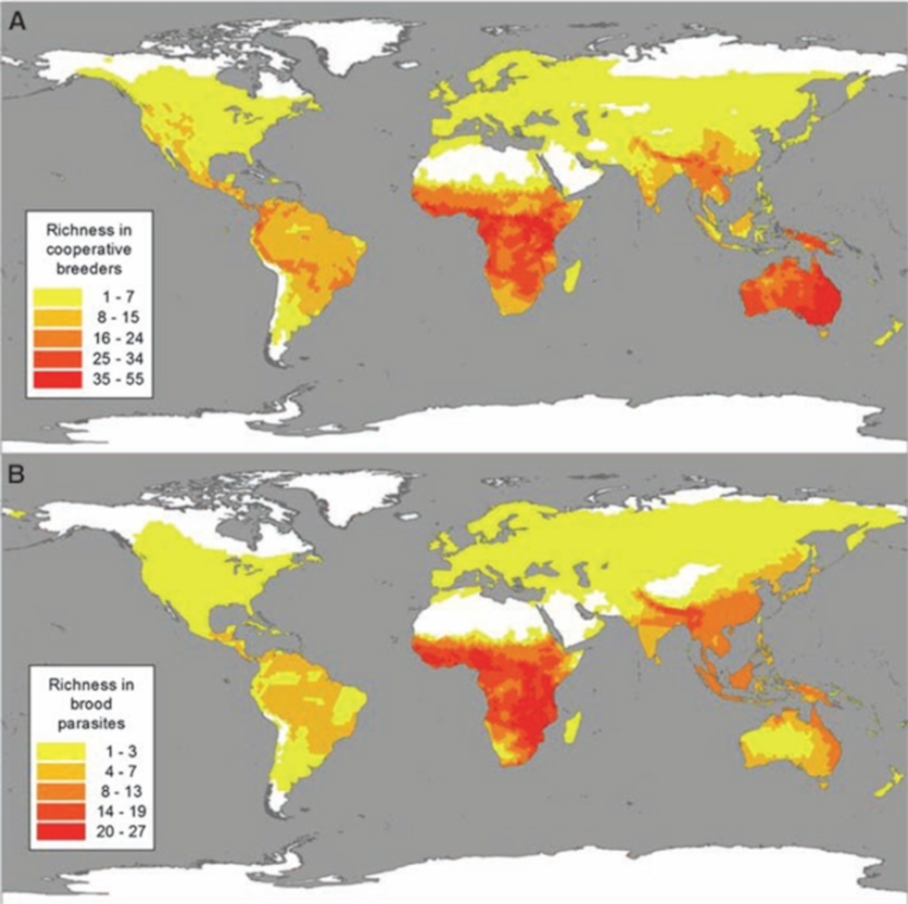 Credit: Feeney et al, 2013. Science.