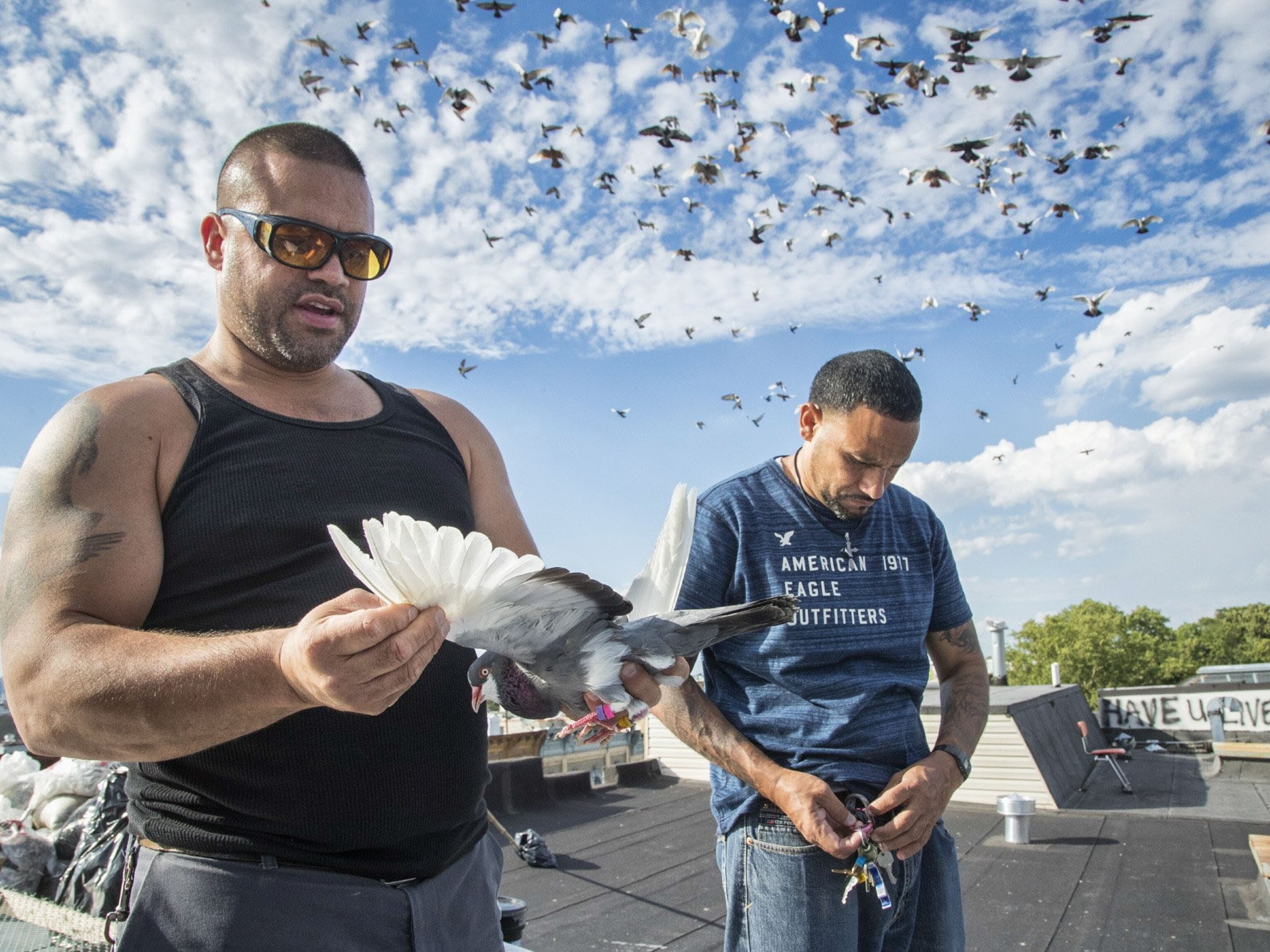 Striking Photos Of The Pigeon Flocks Of Brooklyn S Rooftops