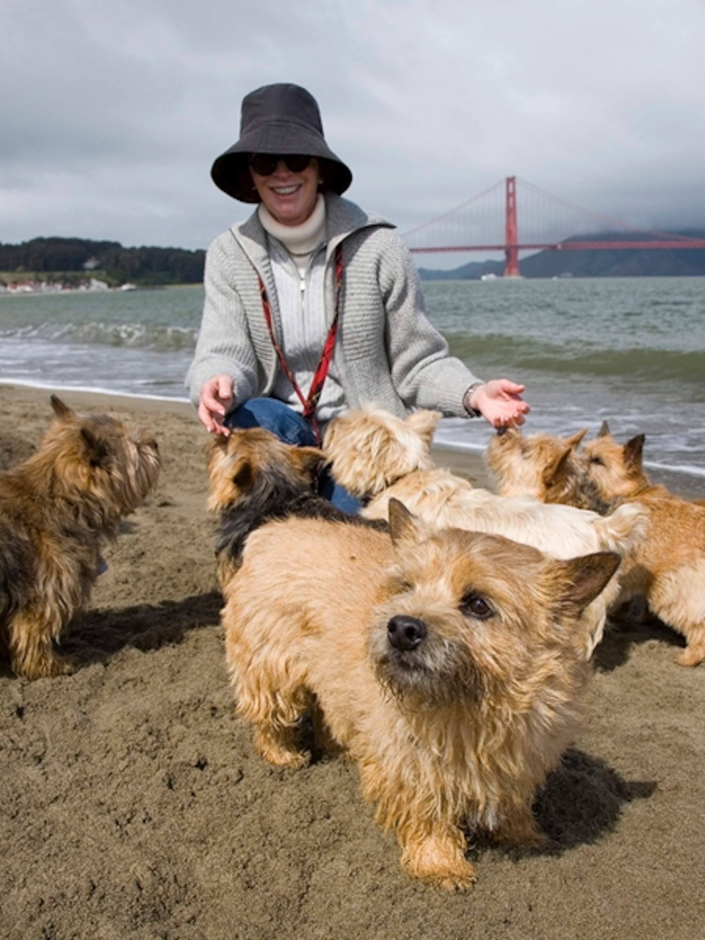 Woman with terriers, Crissy Field, San Francisco