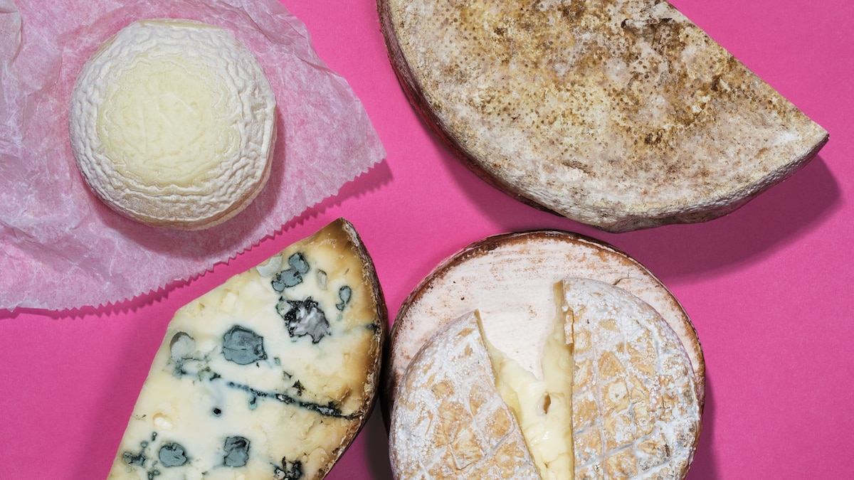 This Scientist Is Unlocking the Mysteries of Cheese