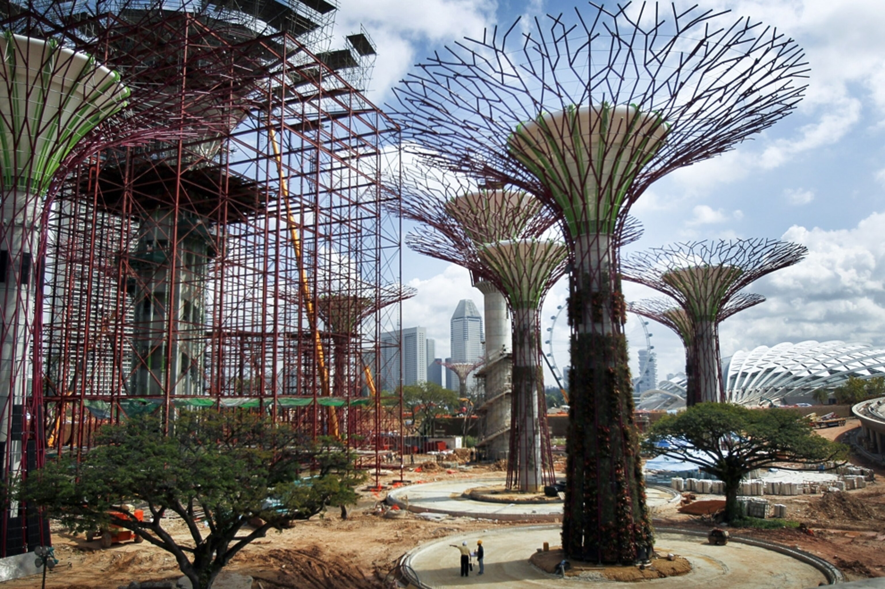 vertical gardens dubbed Supertrees being built in Singapore