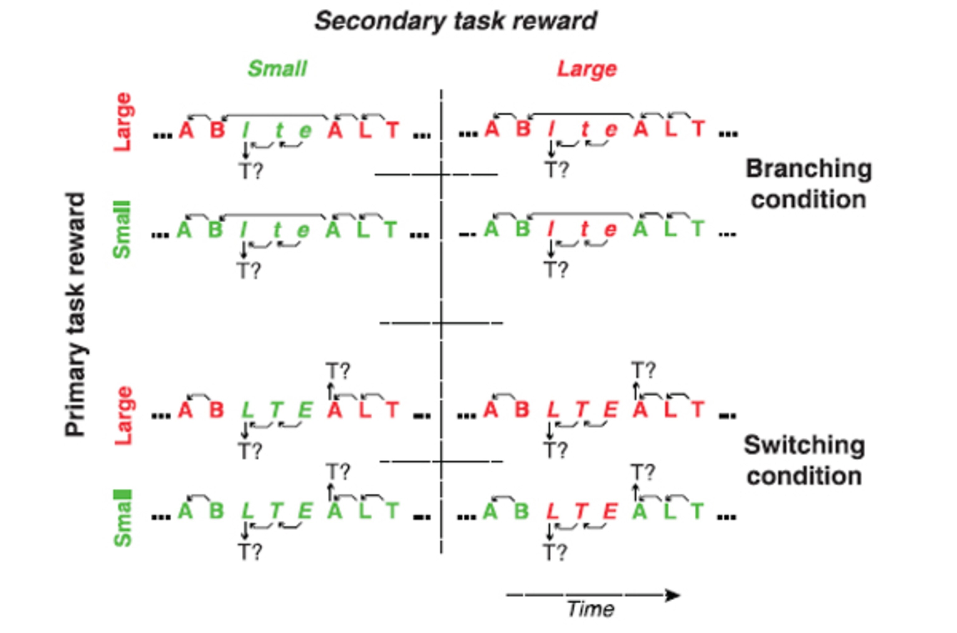 Multitache Science When multi-tasking, each half of the brain focuses on different goals