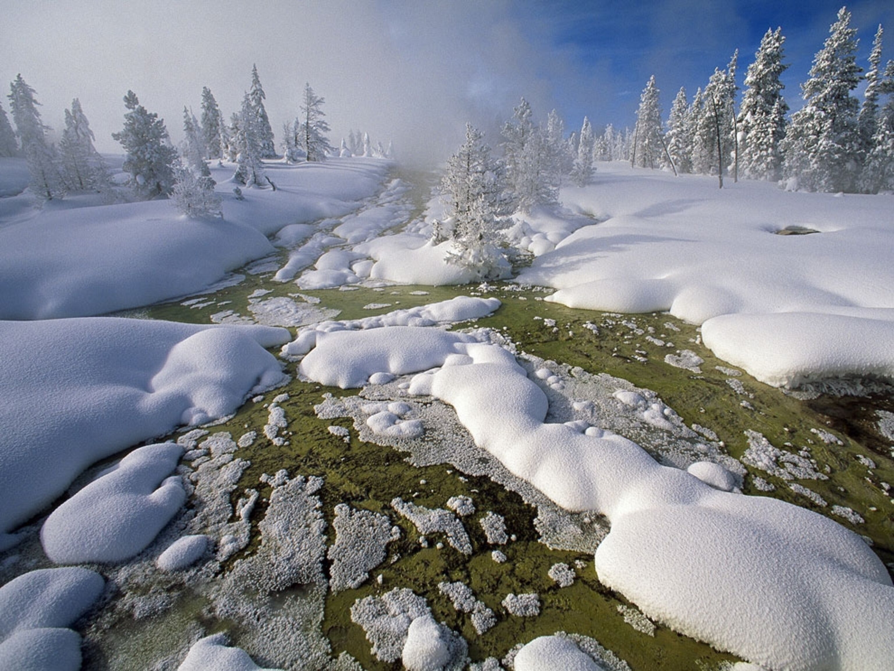 West Thumb Geyser Basin in Yellowstone National Park