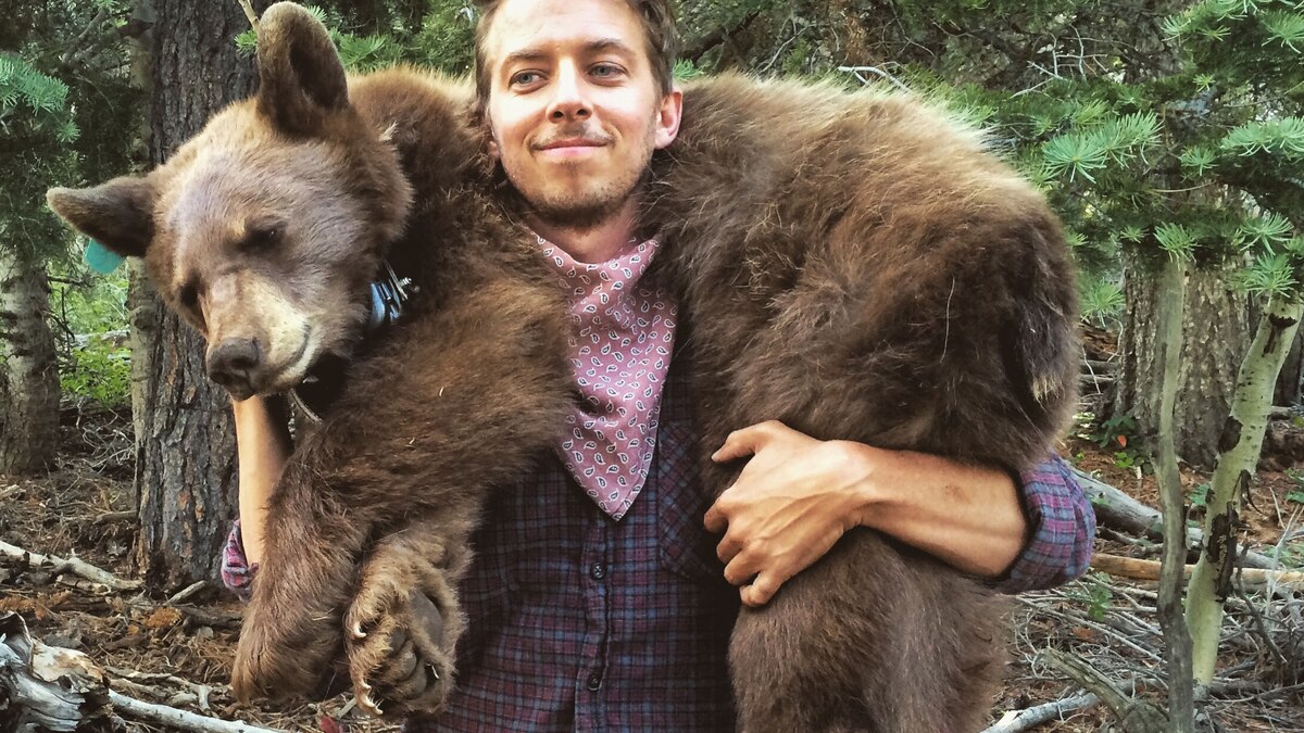 A Bear Biologist Brings Online Fans Into the Field