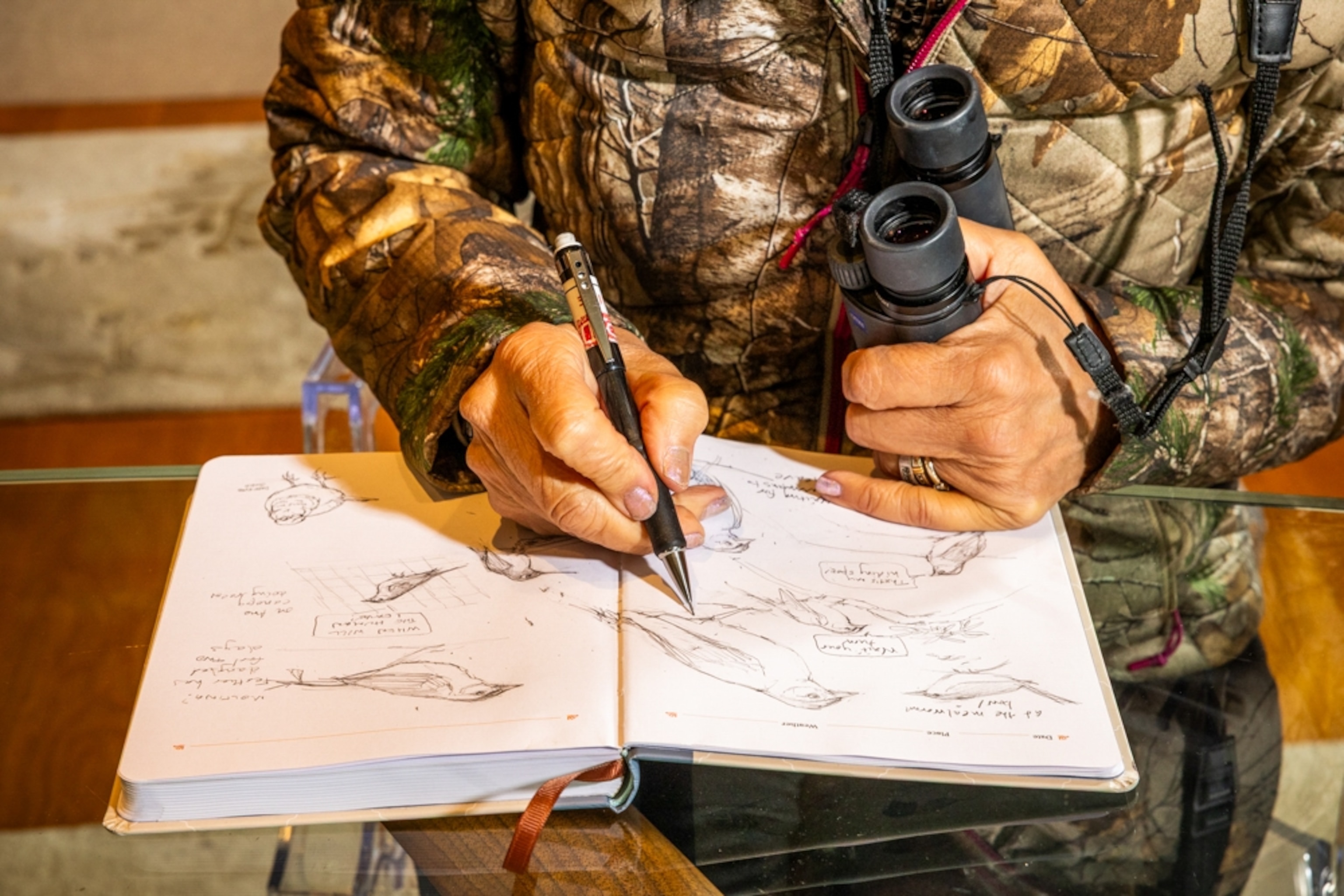 A close view of images of birds in a book.