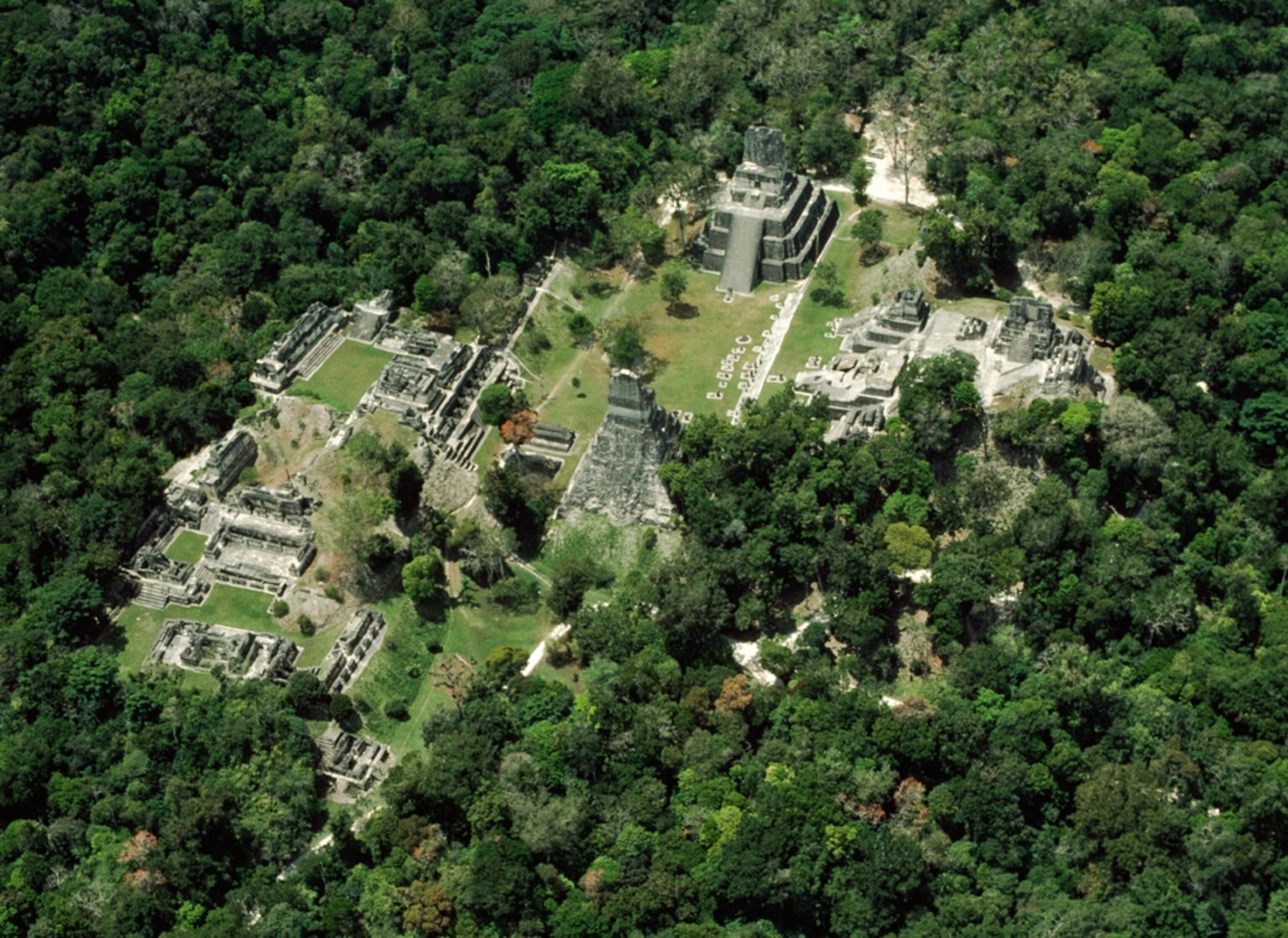 Aerial view of a Maya site at Tikal