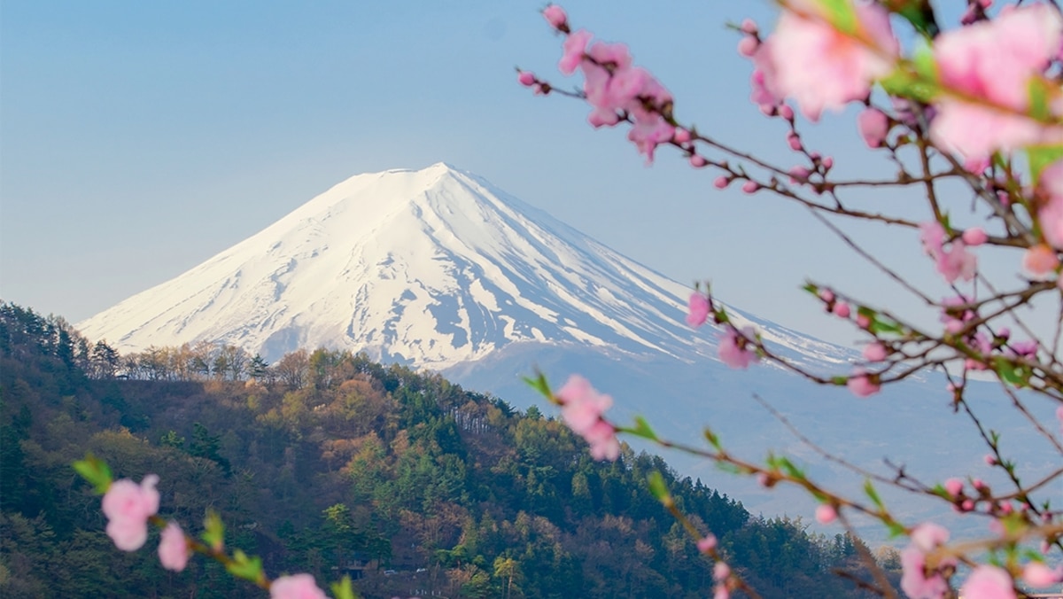 How to see Mount Fuji in a new light, from kayaking to wine