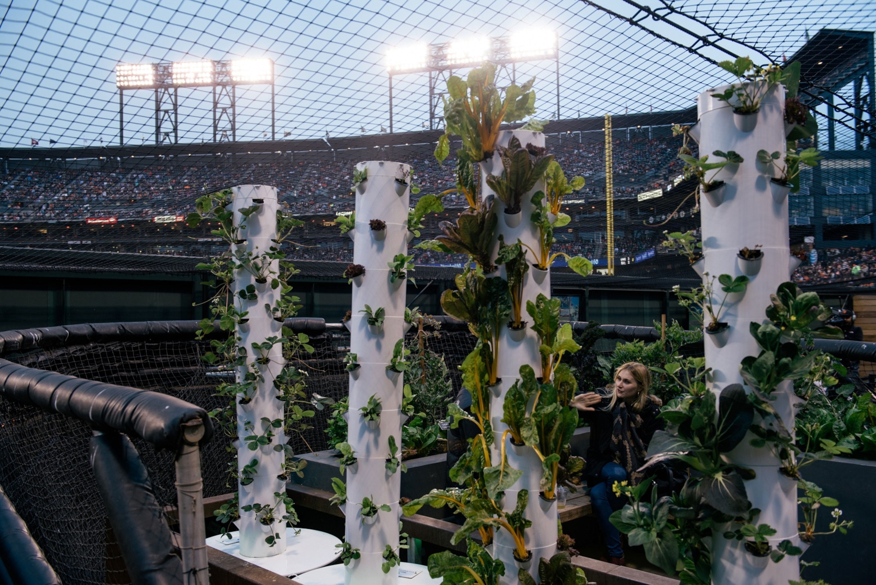 At AT&T Park, the Giants' baseball stadium in San Francisco, a garden next to the field. People can order food that has greens from the garden in it. The garden is supposed to inspire people and connect them with the food they are eating.