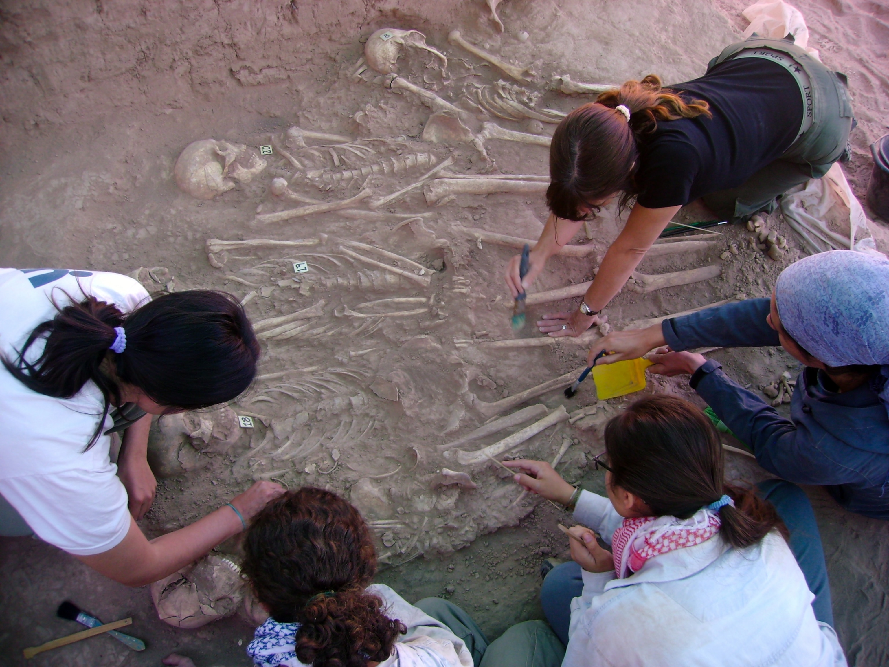 Five archaeologists carefully excavating and brushing dirt from human skeletons at a dig site.