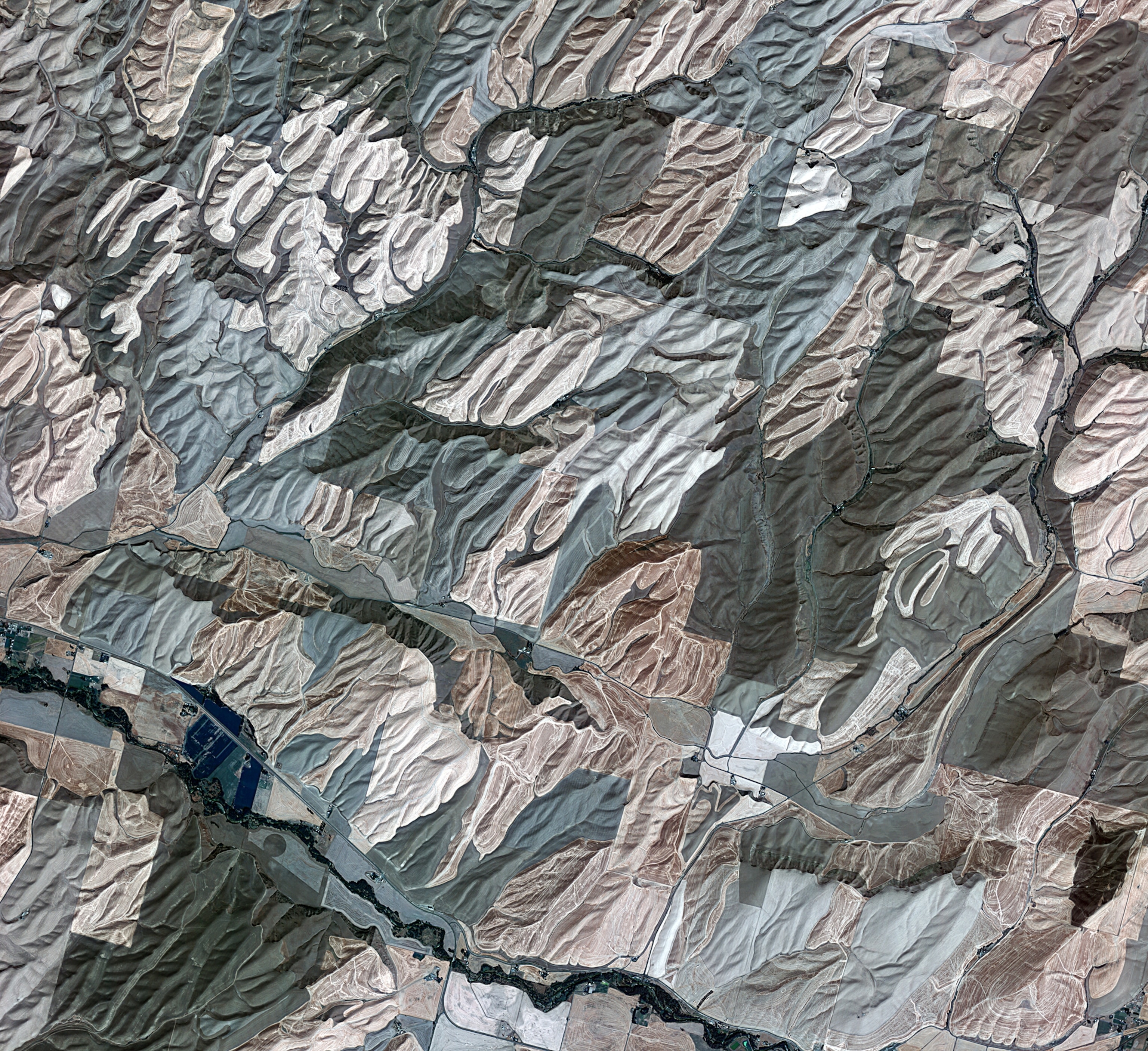 agricultural fields in Washington State as seen from space