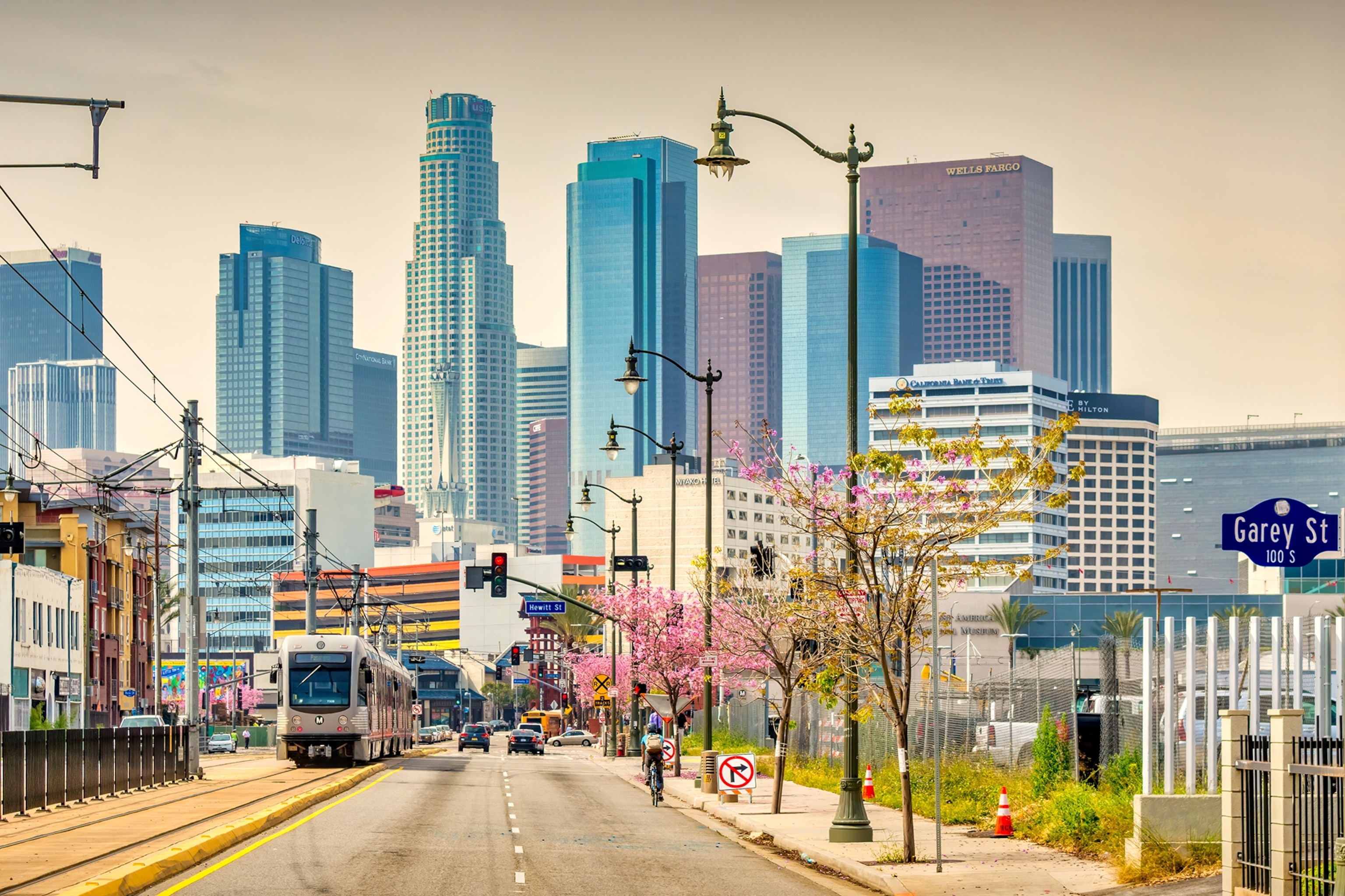 The skyline of a glass skyscraper city viewed from the outskirts on a small street with cherry blossom trees.