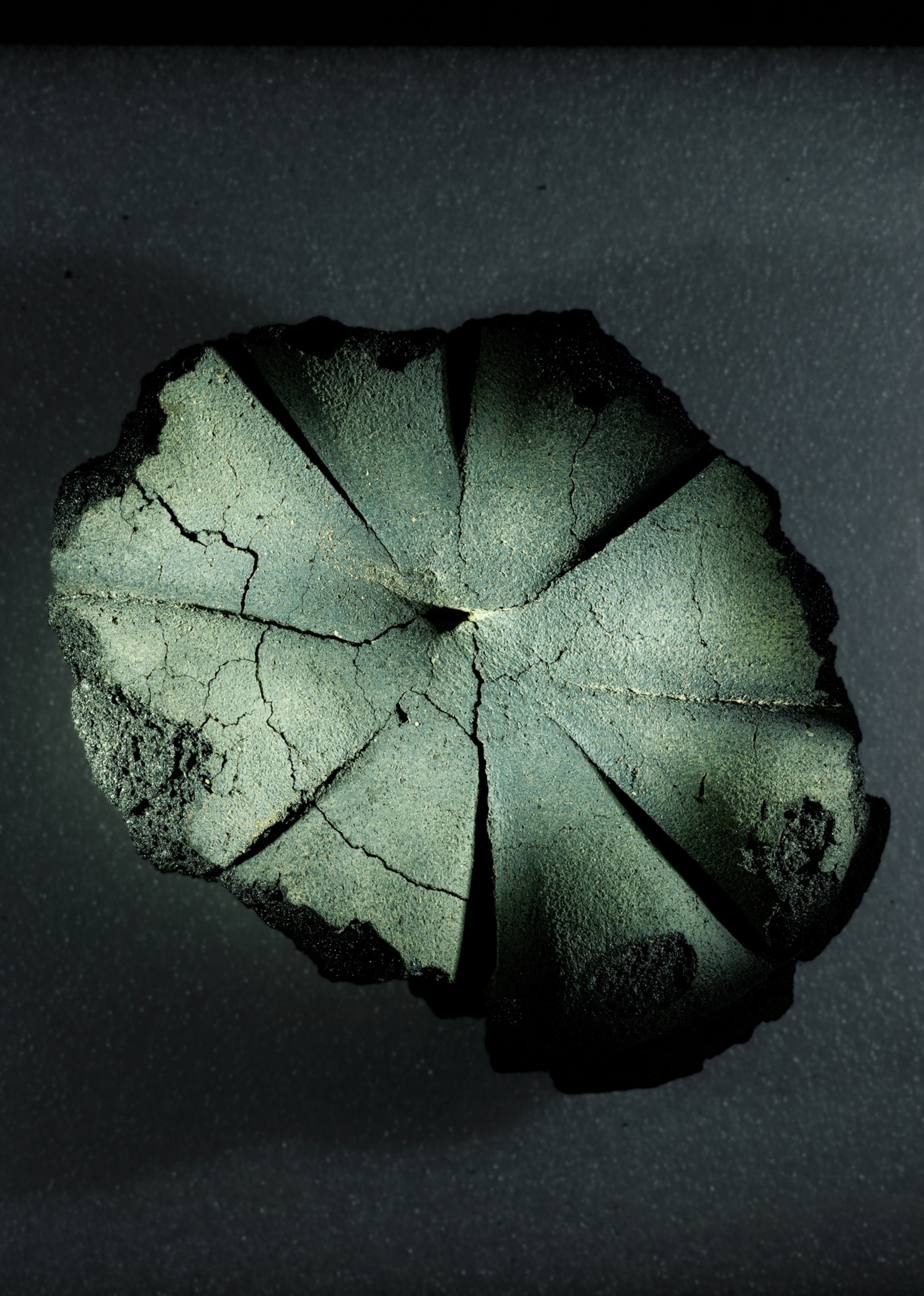 A circular object that looks greenish black