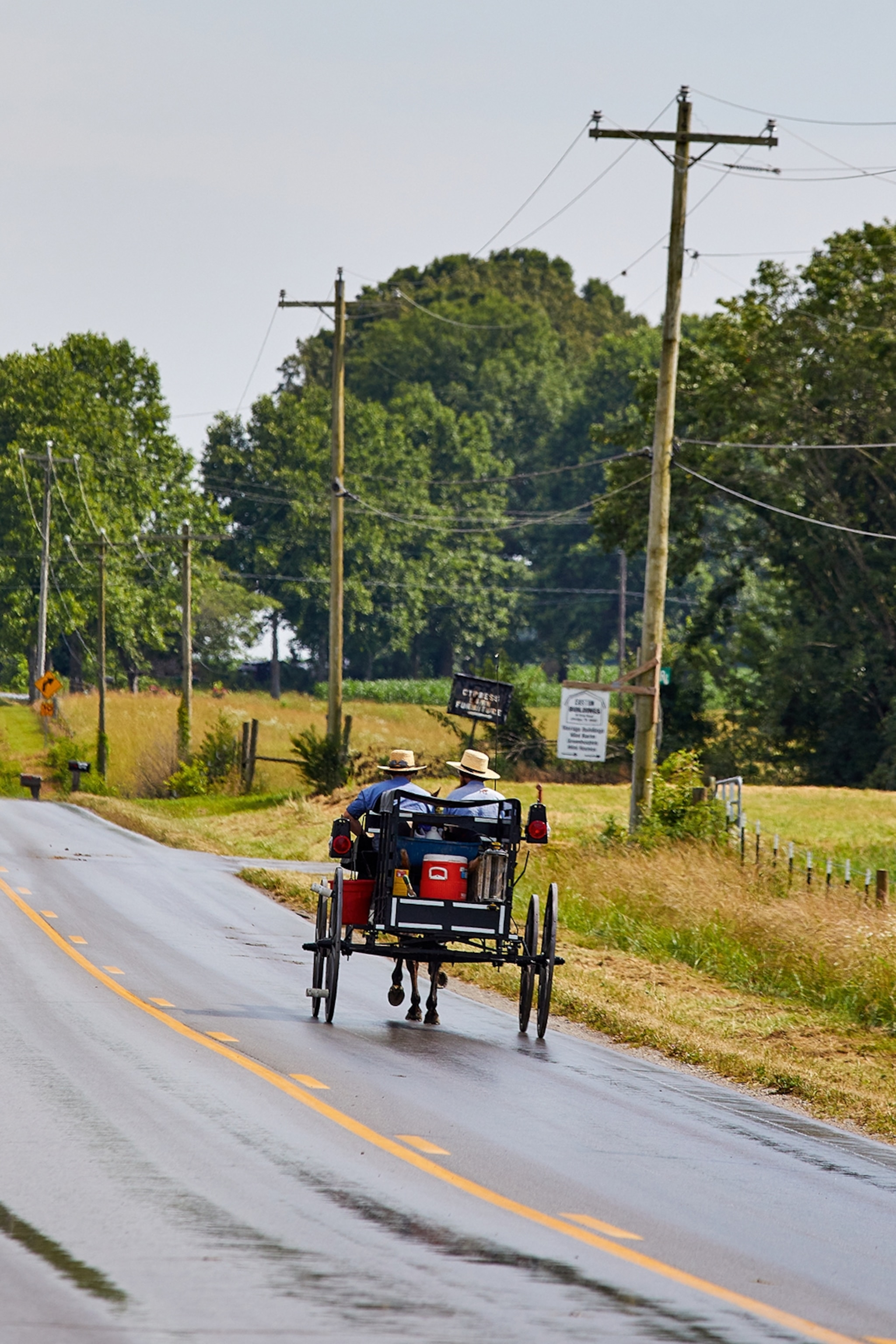 An wet road running through Tennessee's backcountry, with a wooden, horse-drawn buggy and two Amish community members.