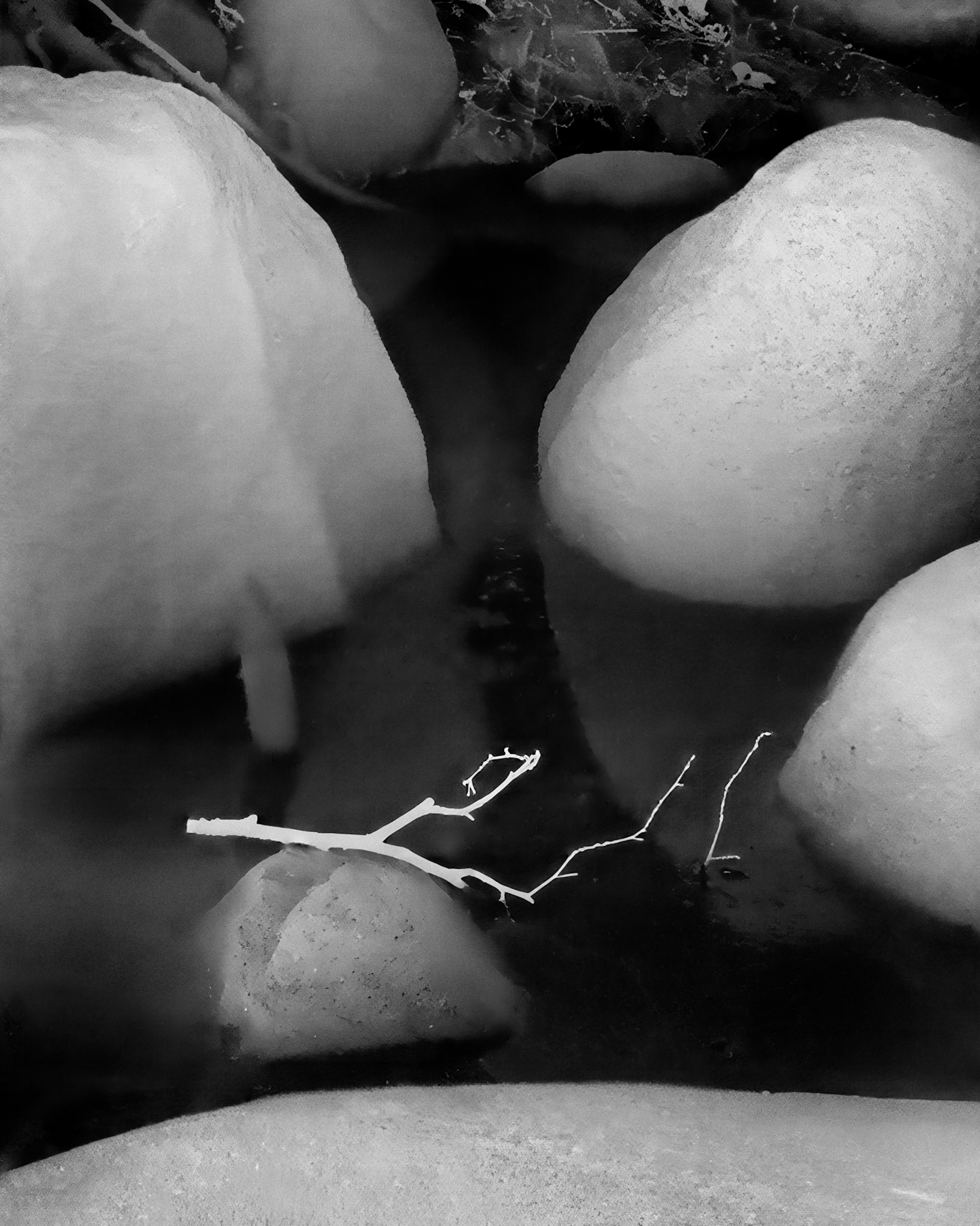 A thermal black and white photo of a twig blended in with the black granite rock beneath it in Sequoia National Forest, with the objects that are the hottest appear brightest, while those that are coldest appear darkest.